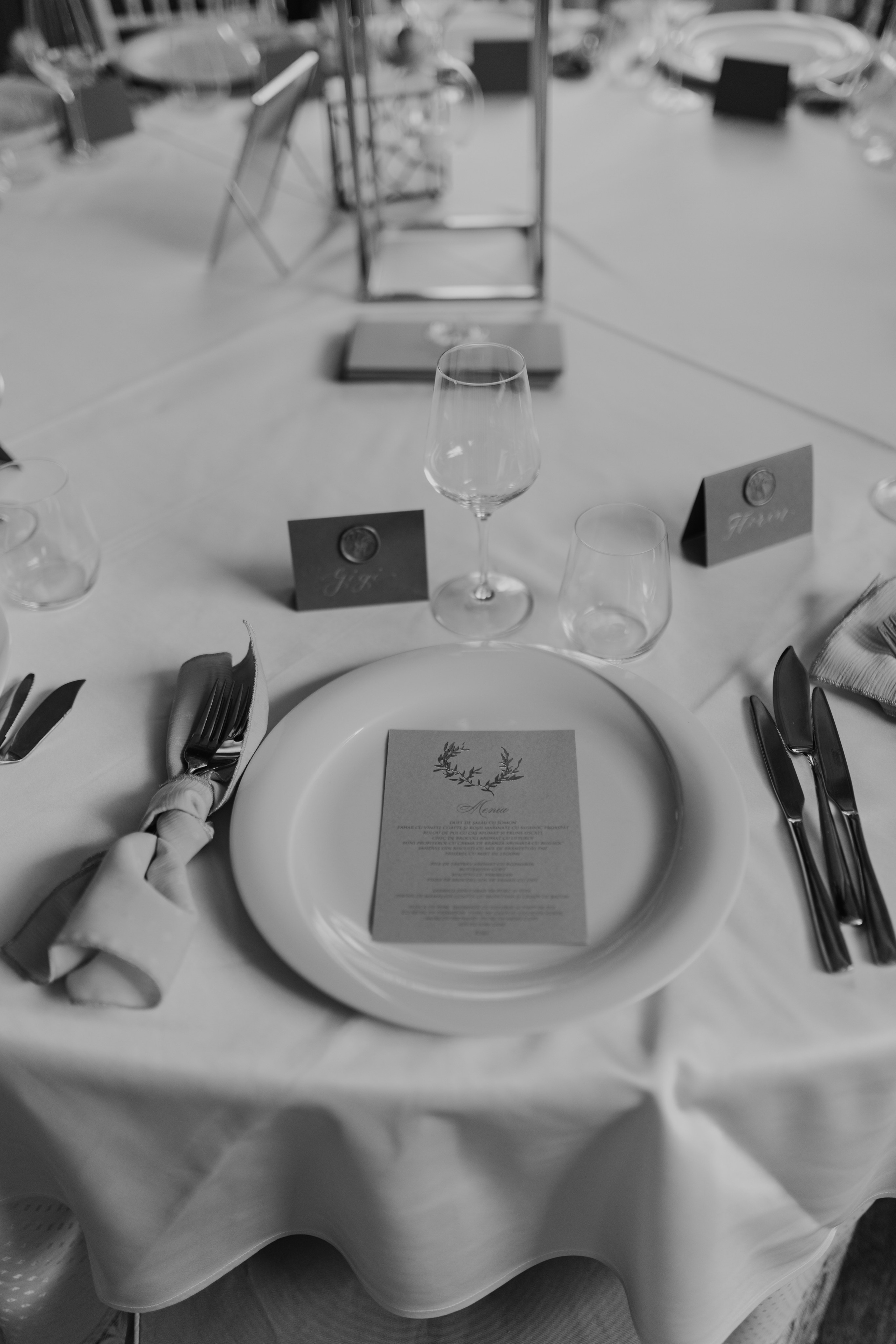 Nicoleta & Lucian. Main