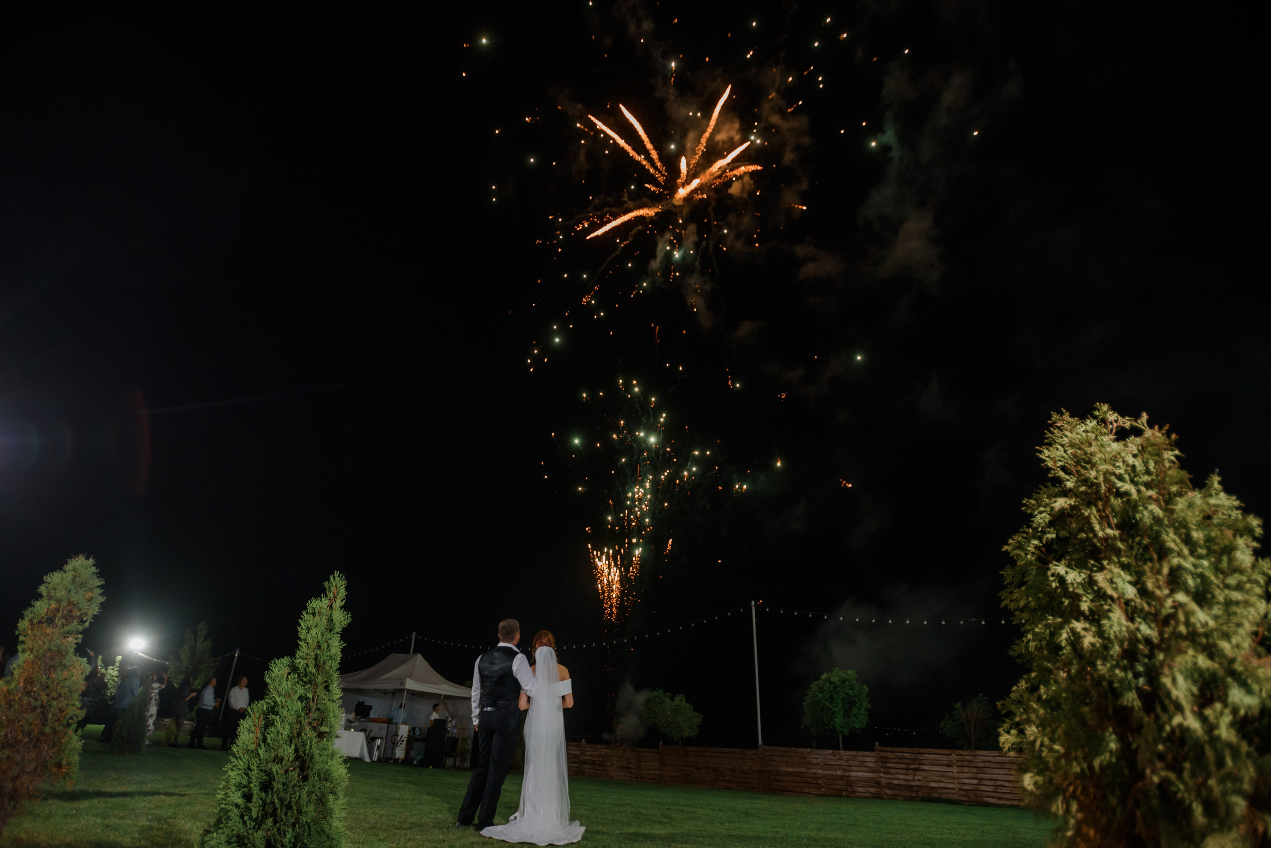 Wedding Anastasia. Wedding photographer from Moldova Alexey Chipchiu