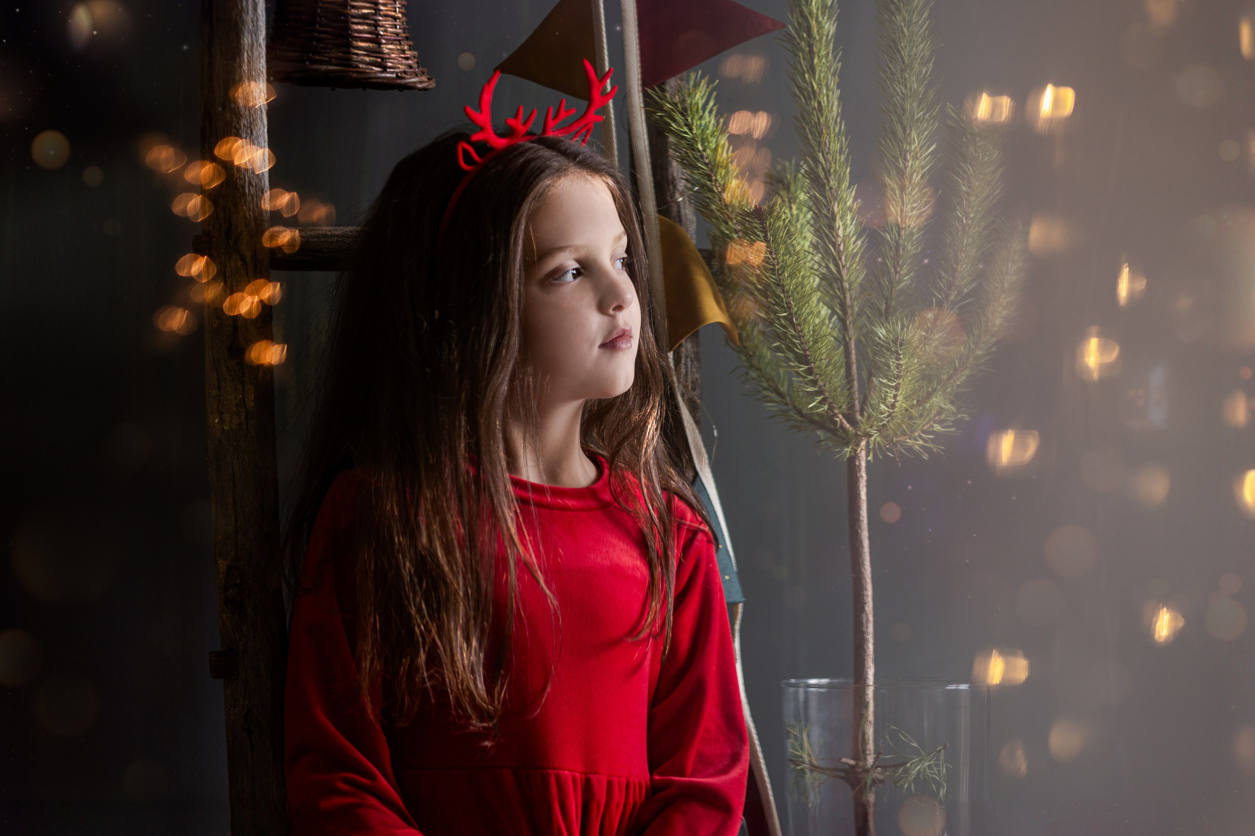 Profesionalno novogodišnje fotografisanje Novi Sad