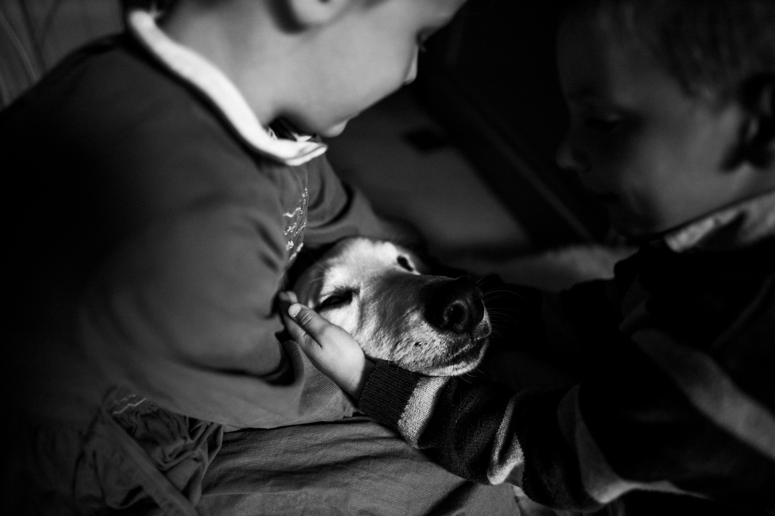 Un jour près de la Cathedral. Photographe à Chartres Ekaterina Kudinova