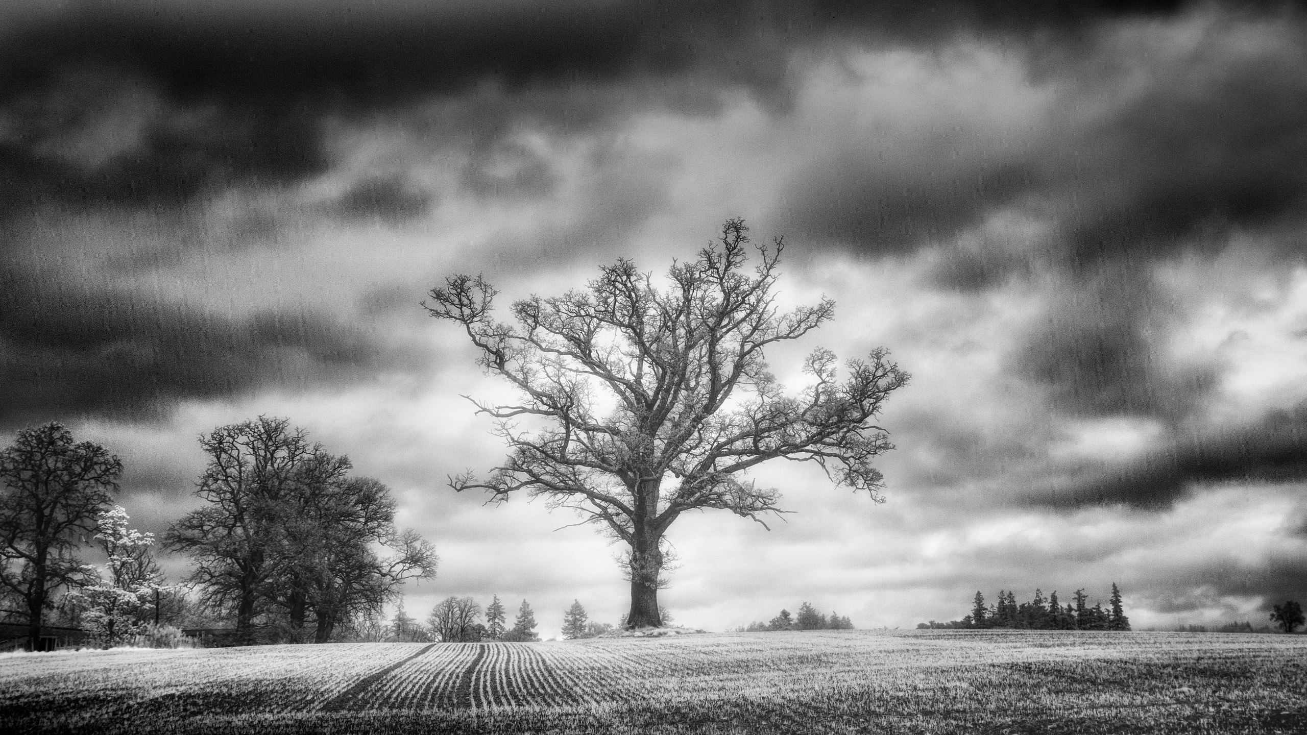 Infrared Scotland