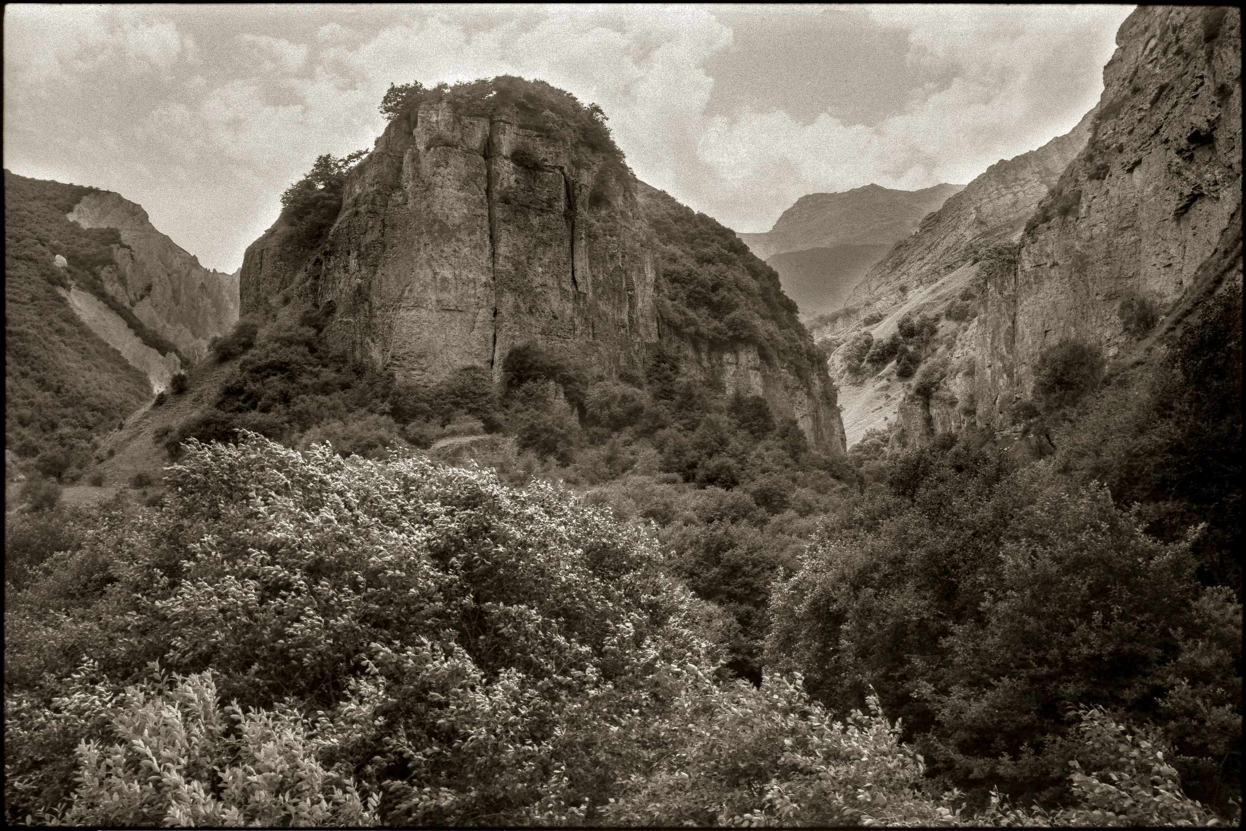 NATURE. Www.sananaleskerov.com