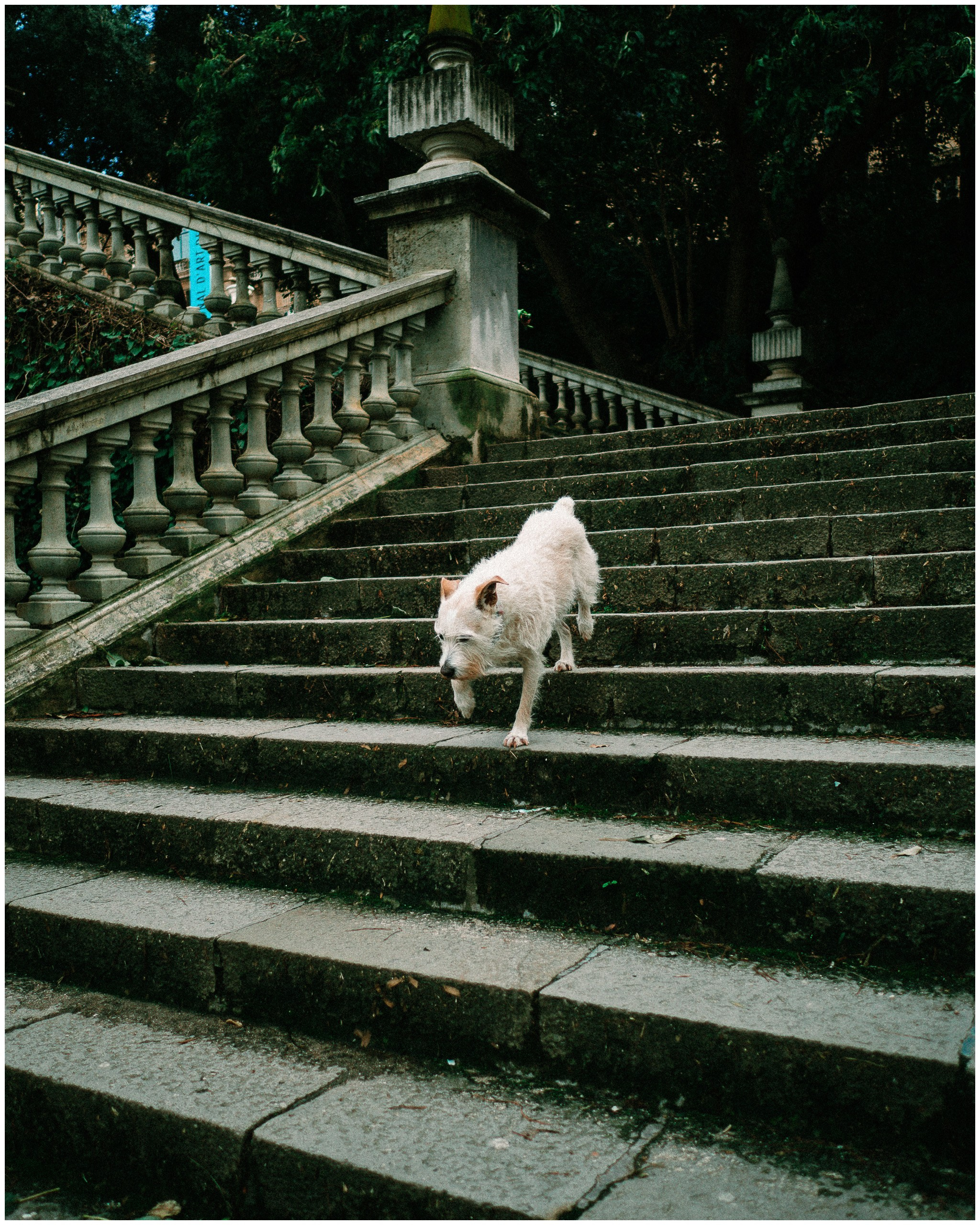 BARCELONA. Inna Mendelson — Photographer