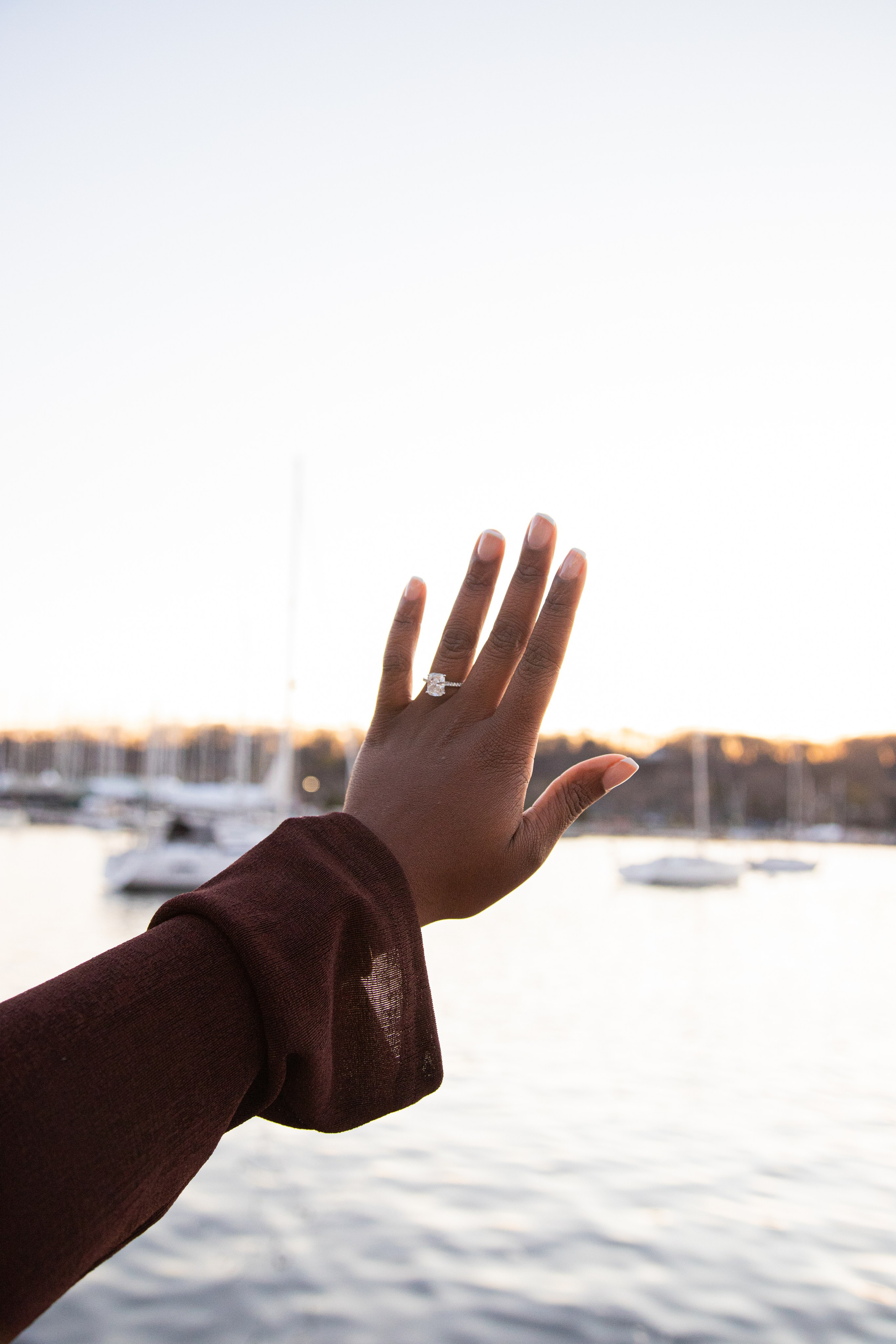 Proposal Long Island. Wedding Photographer & Videographer