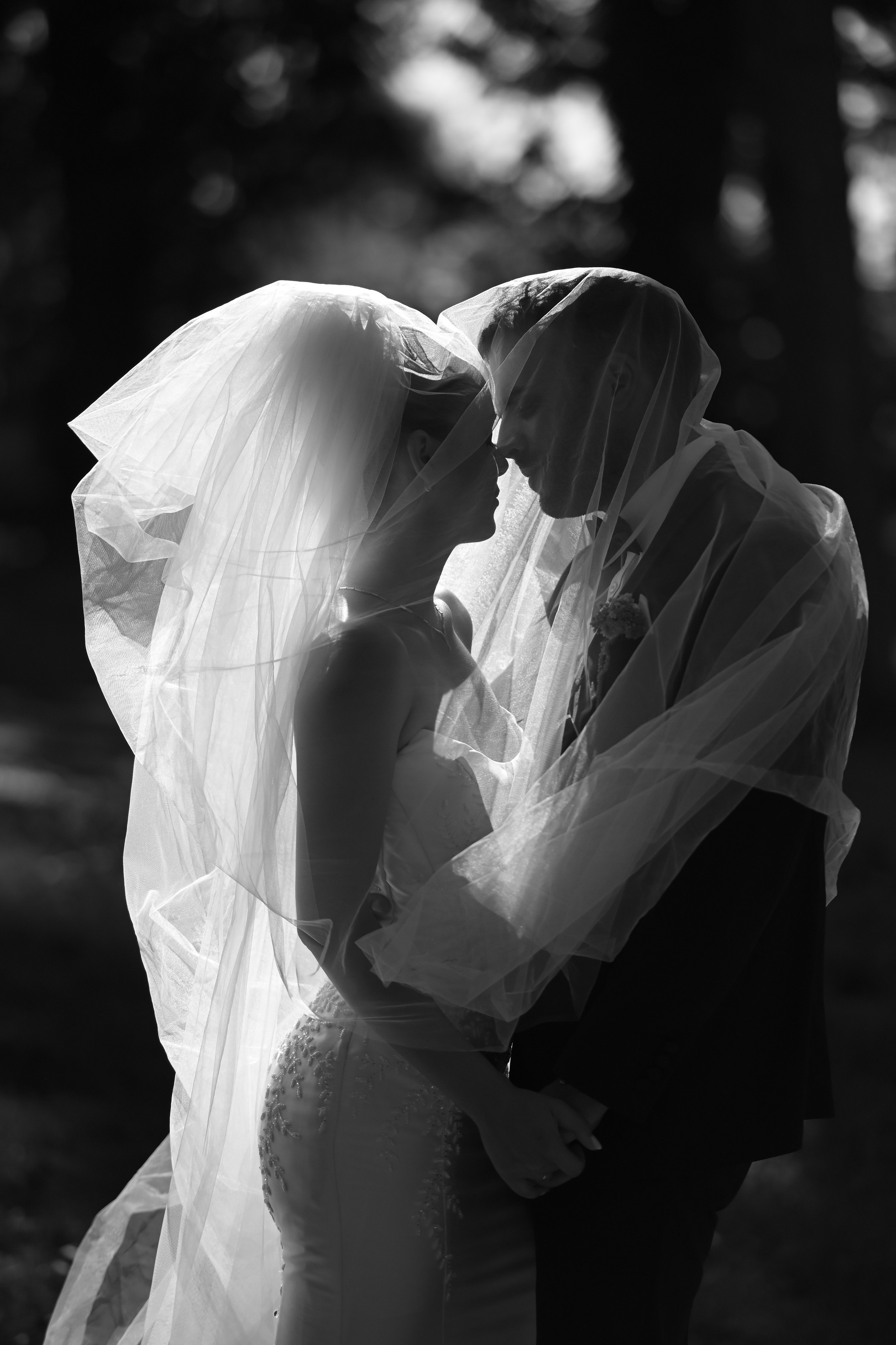 Venčanja. Luka Pejcic Photography