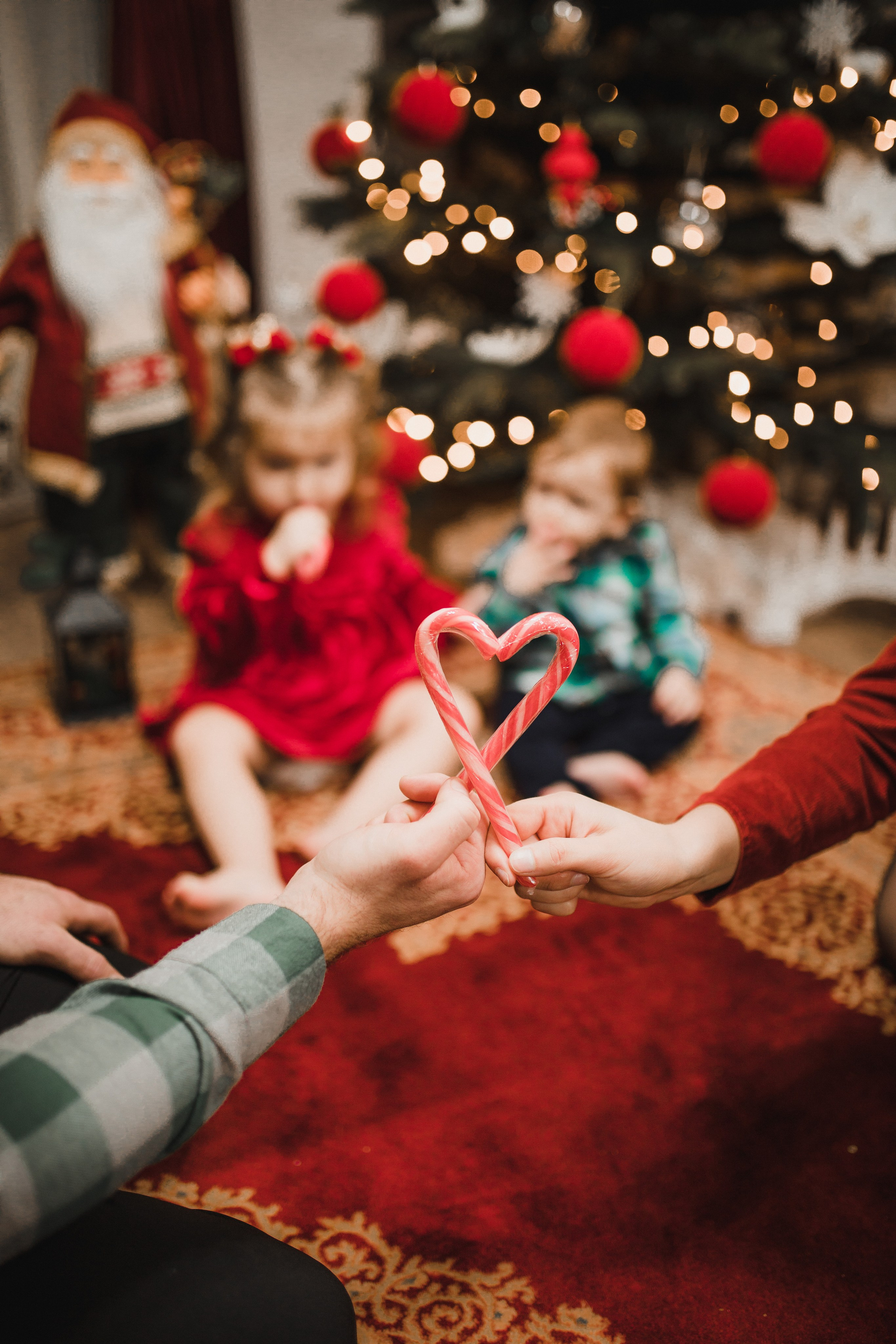 Family. Vlad Aconstantinesei Photographer