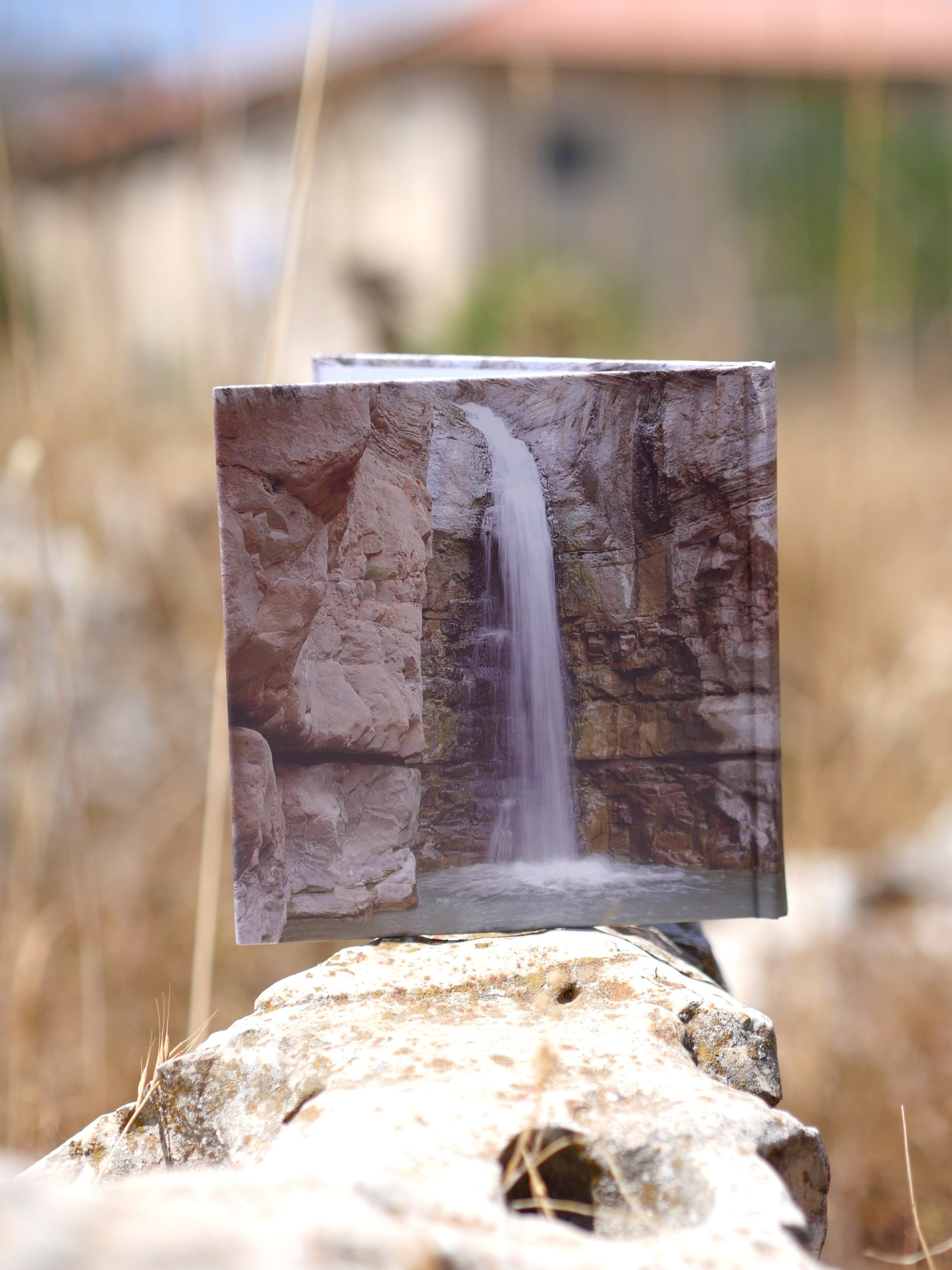 Books. Portrait & Event photographer in Israel — Rebecca Kowalsky