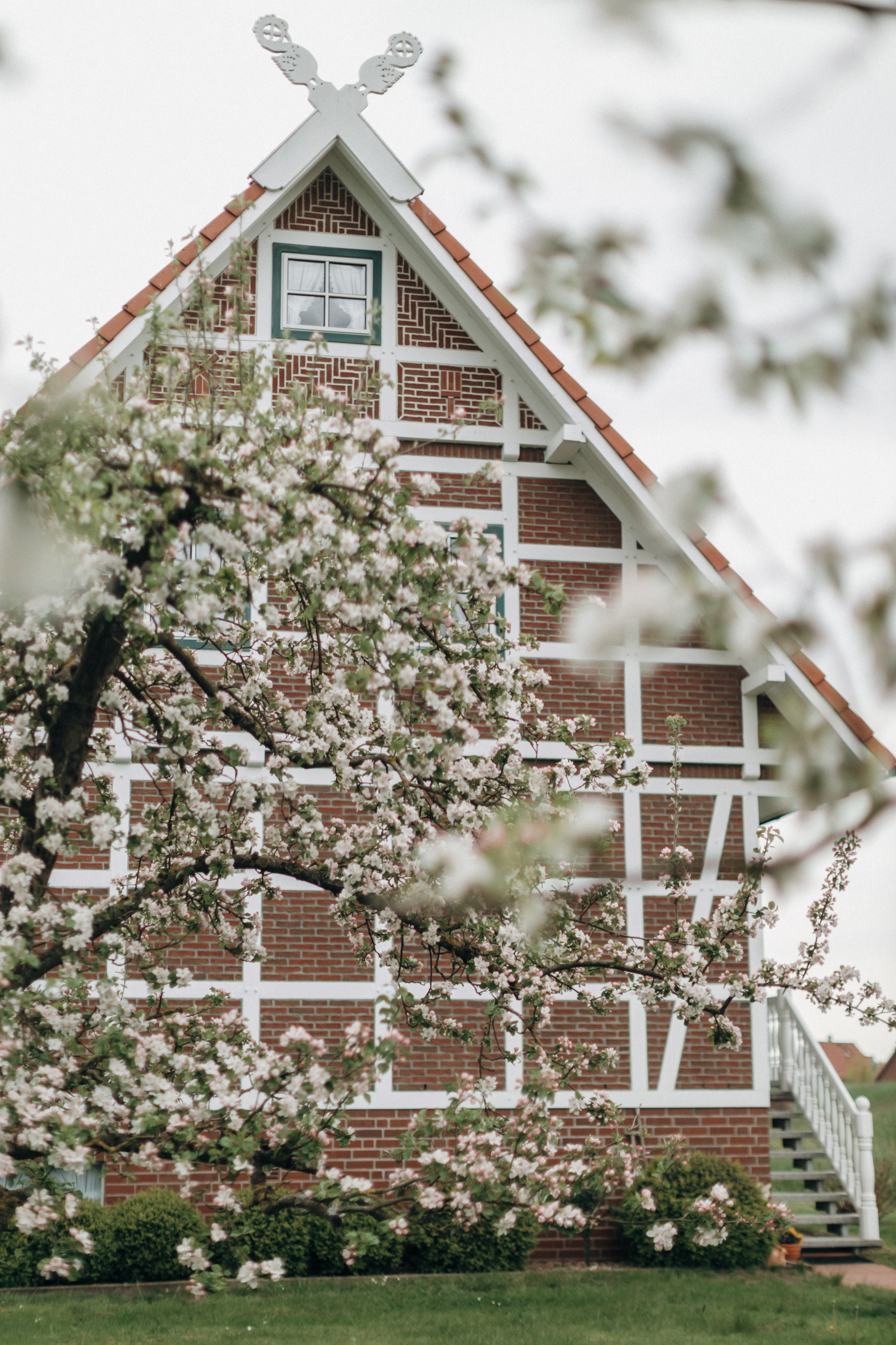 Фотосессия беременности в цветущих яблоневых садах Altes Land. Фотограф в Германии — Мария Чистякова