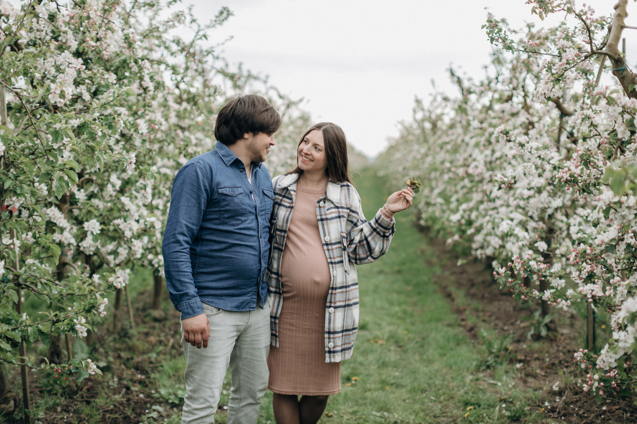 Фотосессия беременности в цветущих яблоневых садах Altes Land. Фотограф в Германии — Мария Чистякова