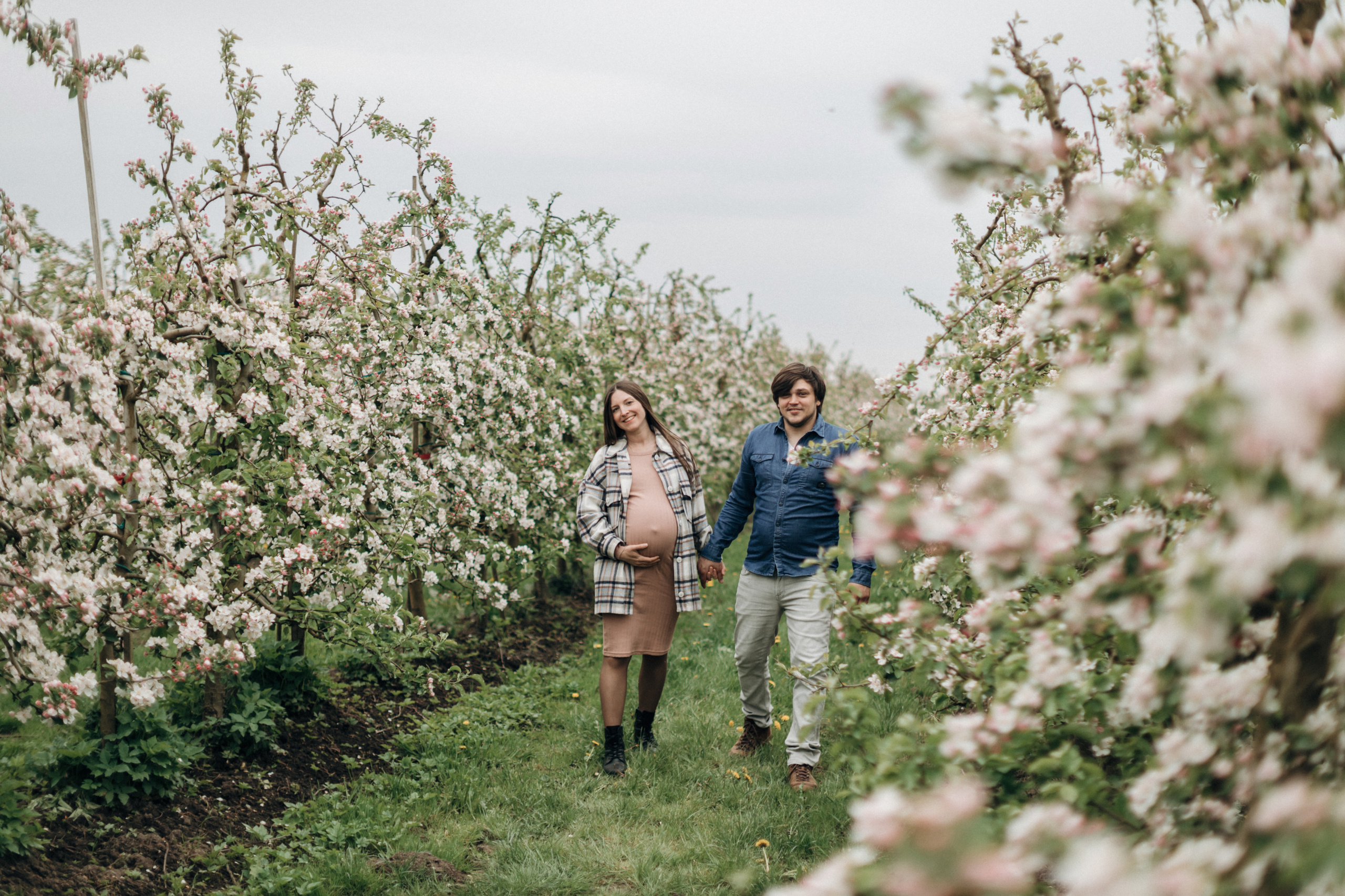 Фотосессия беременности в цветущих яблоневых садах Altes Land. Фотограф в Германии — Мария Чистякова
