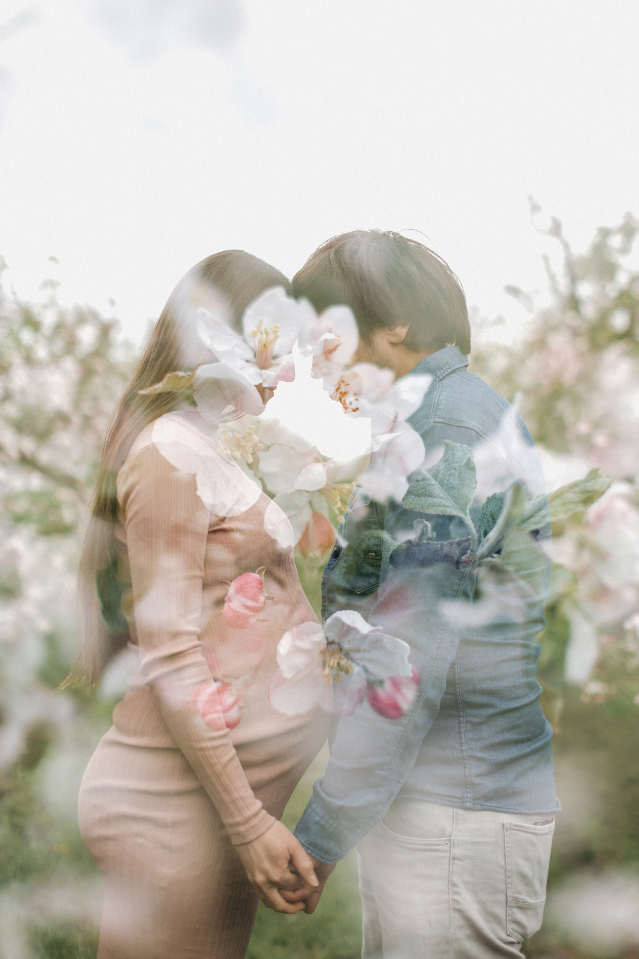 Фотосессия беременности в цветущих яблоневых садах Altes Land. Фотограф в Германии — Мария Чистякова