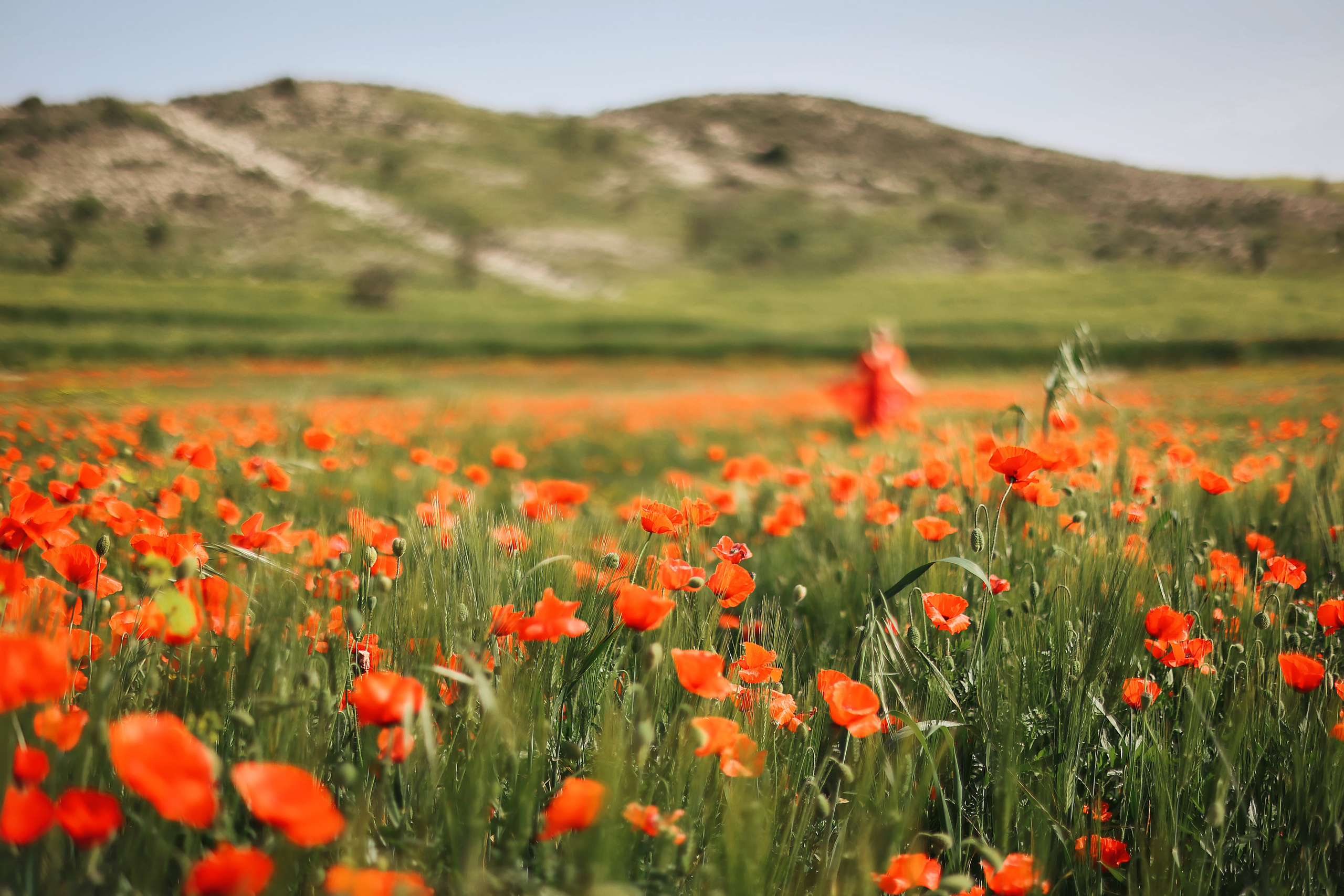Индивидуальная экспресс-съемка в Ларнаке. Апрель, 2022. Cyprus Vision. Φωτογραφίες και βίντεο στην Κύπρο — Αγία Νάπα, Πρωταράς