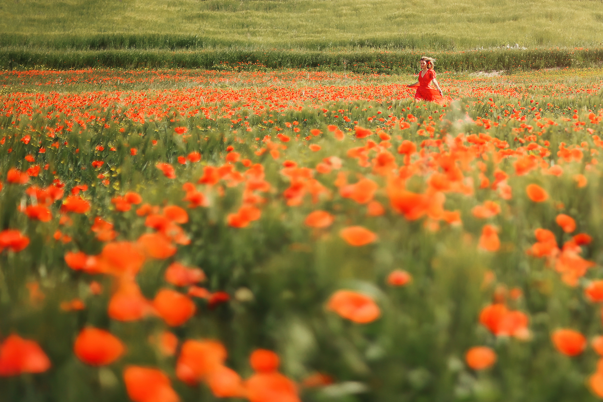 Индивидуальная экспресс-съемка в Ларнаке. Апрель, 2022. Cyprus Vision. Φωτογραφίες και βίντεο στην Κύπρο — Αγία Νάπα, Πρωταράς
