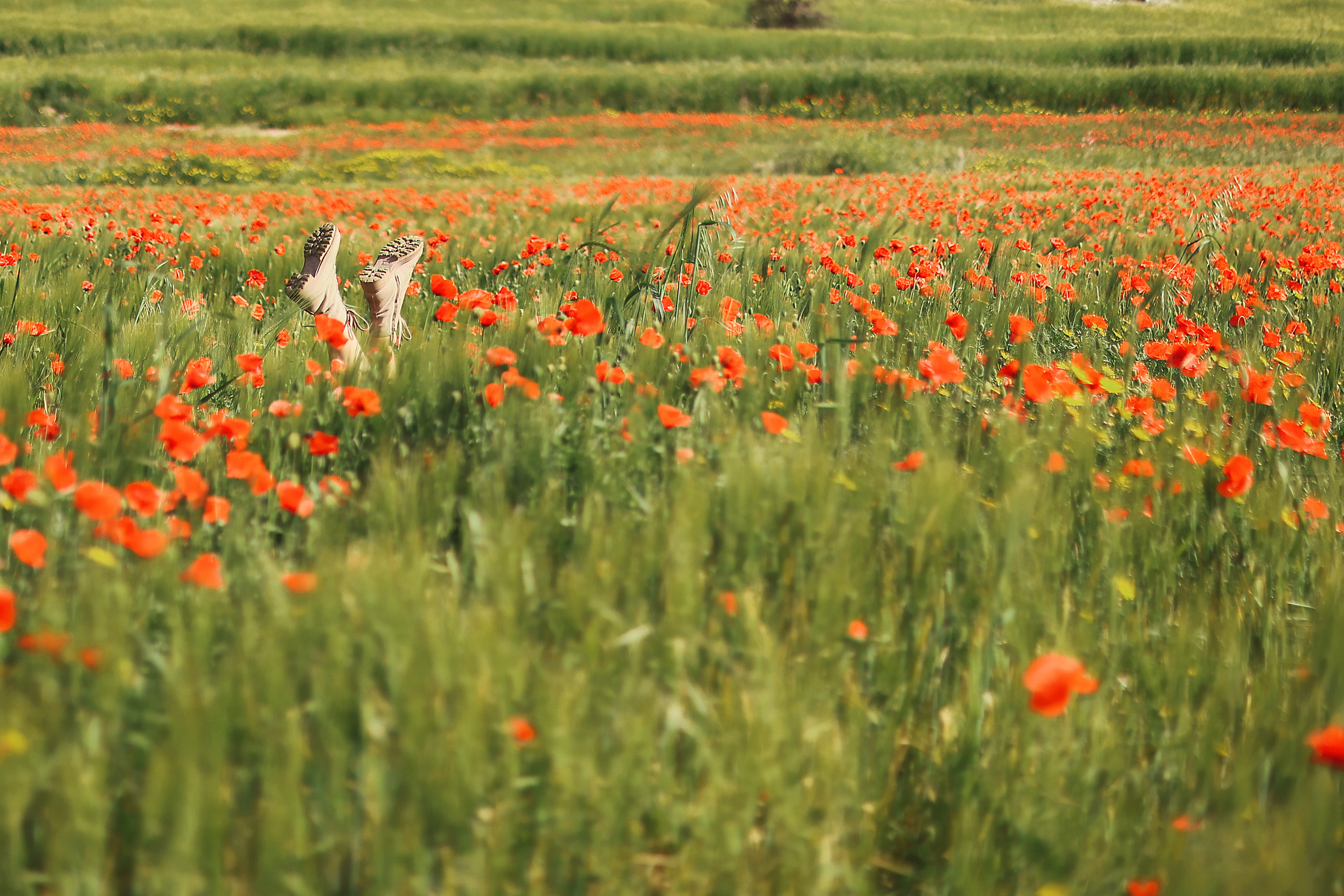 Индивидуальная экспресс-съемка в Ларнаке. Апрель, 2022. Cyprus Vision. Φωτογραφίες και βίντεο στην Κύπρο — Αγία Νάπα, Πρωταράς