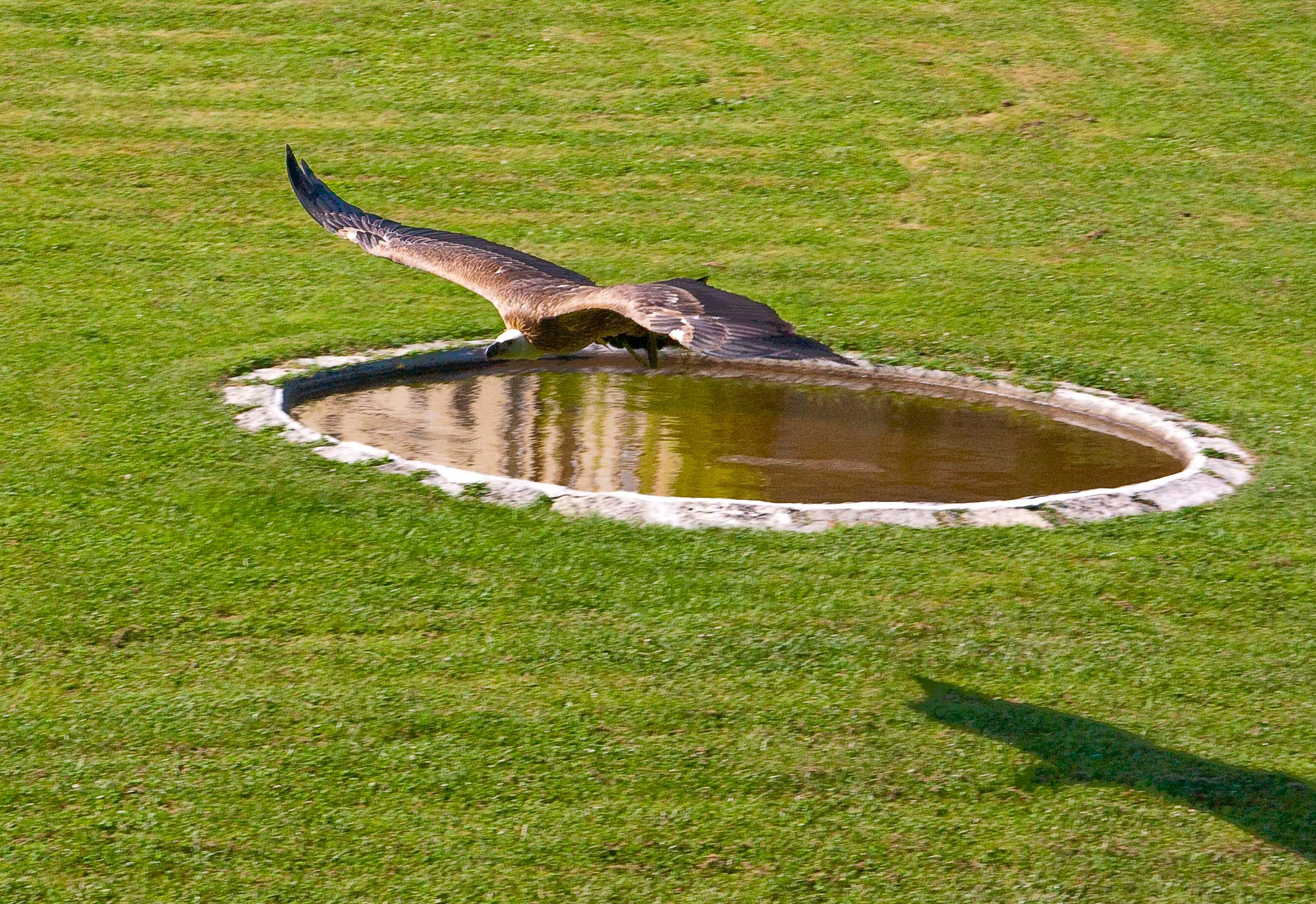 Wildpark Tambach. FOTO KREATIV