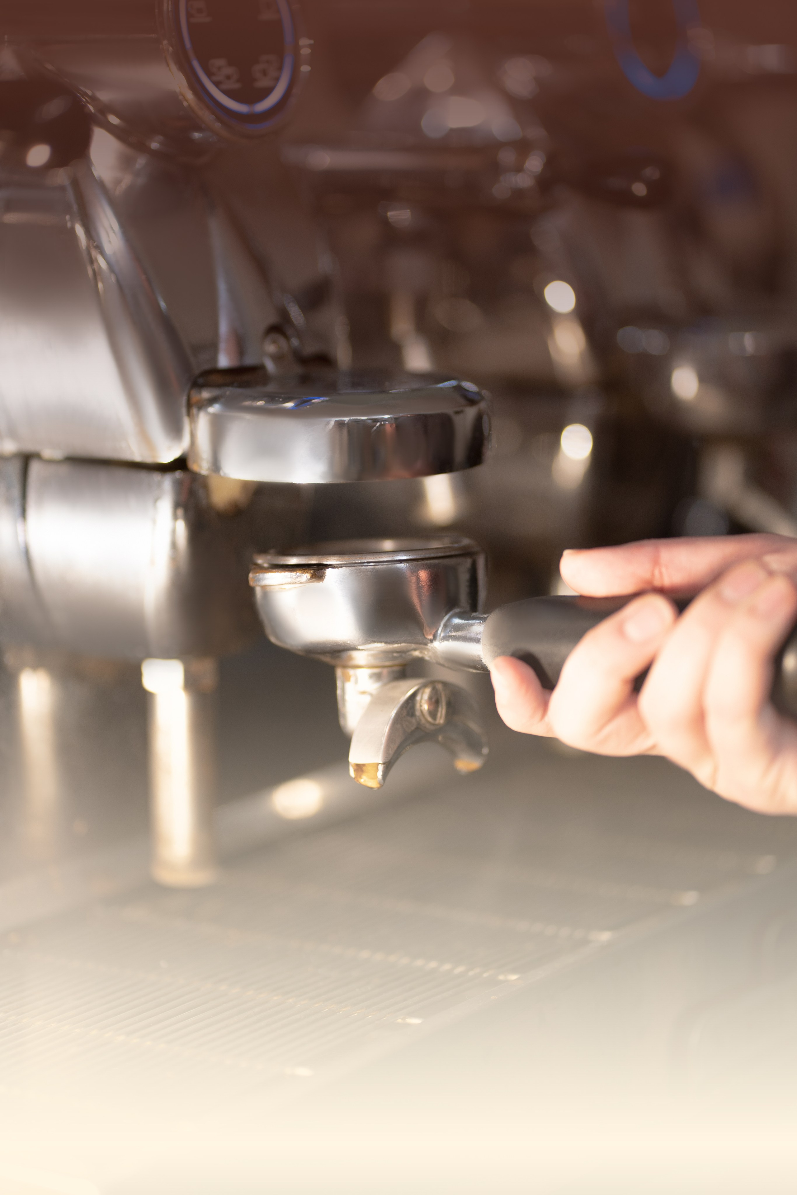 Untitled. RRproduction