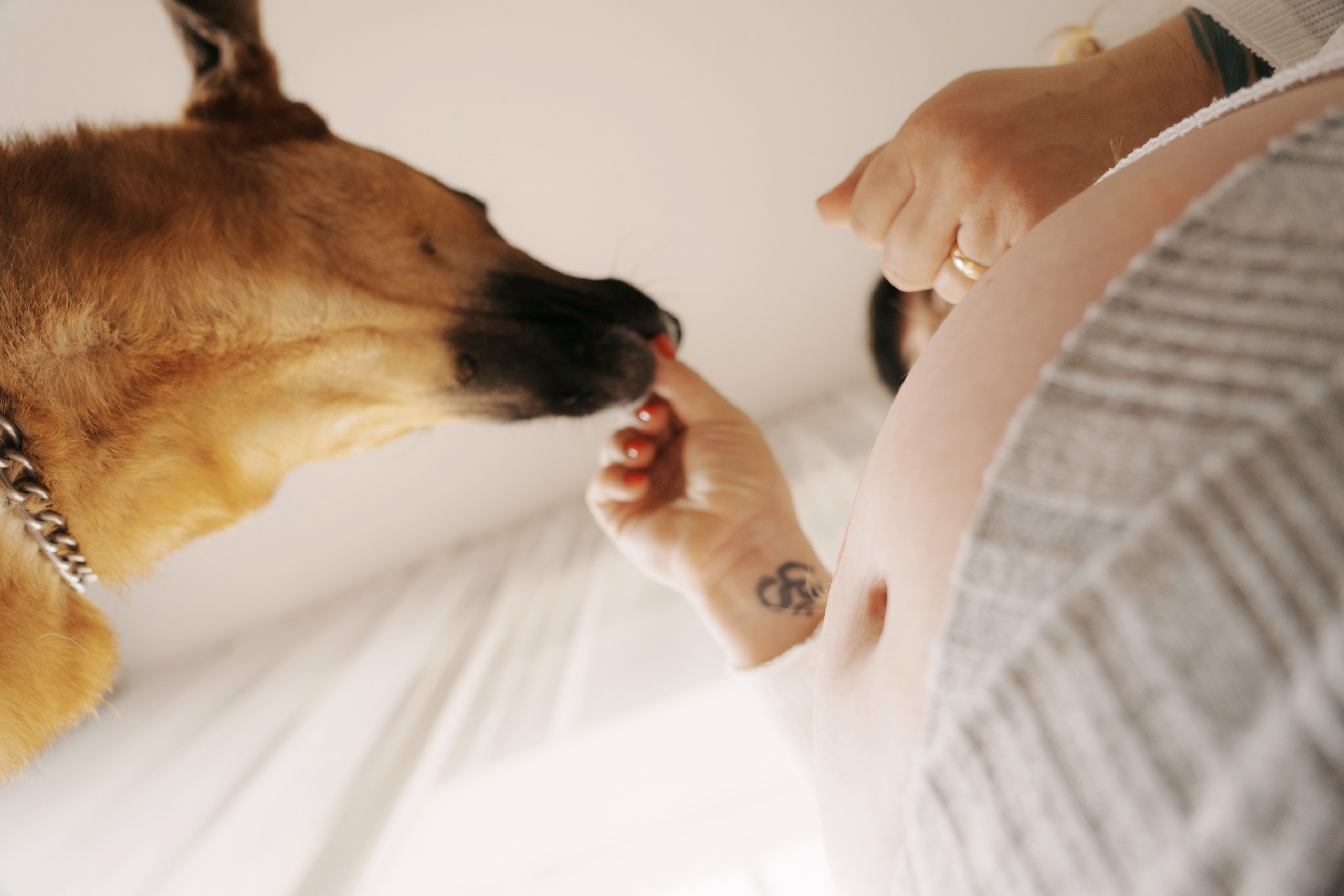 Катерина. Фото и видео съемка