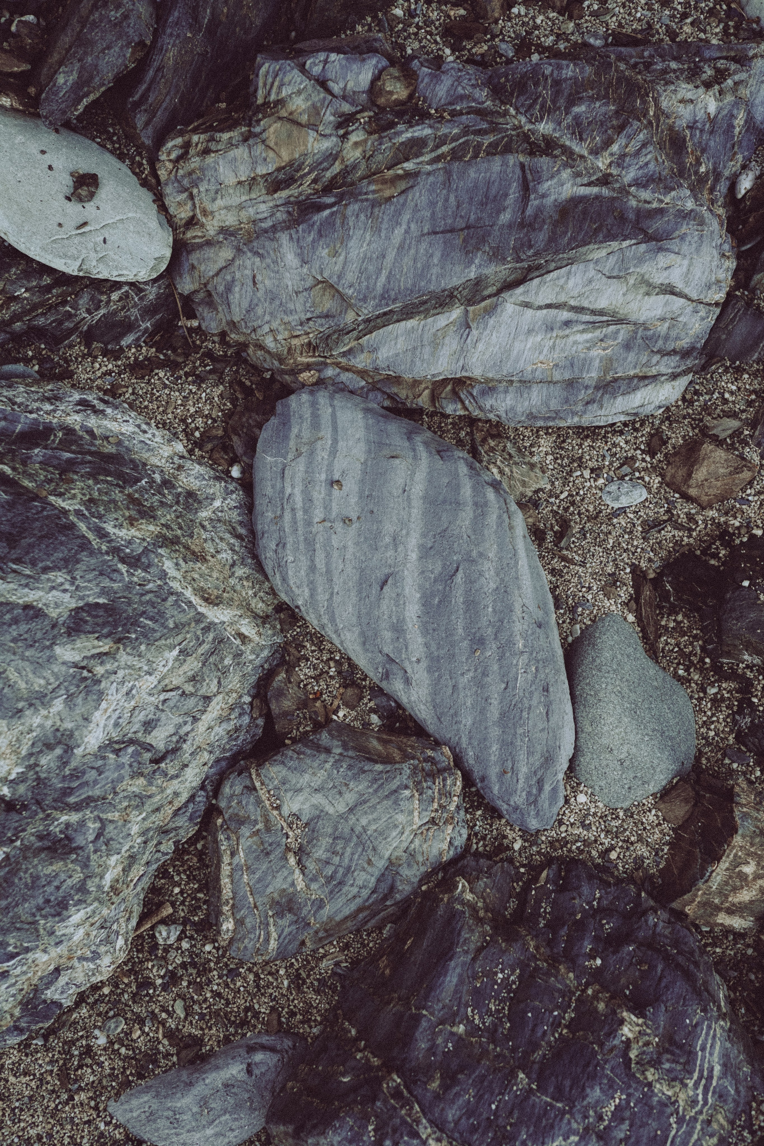 Massif du Cap-Sicié: plages de St.Selon, Jonquet, Boeuf. Photographe à la Seyne sur Mer, Var