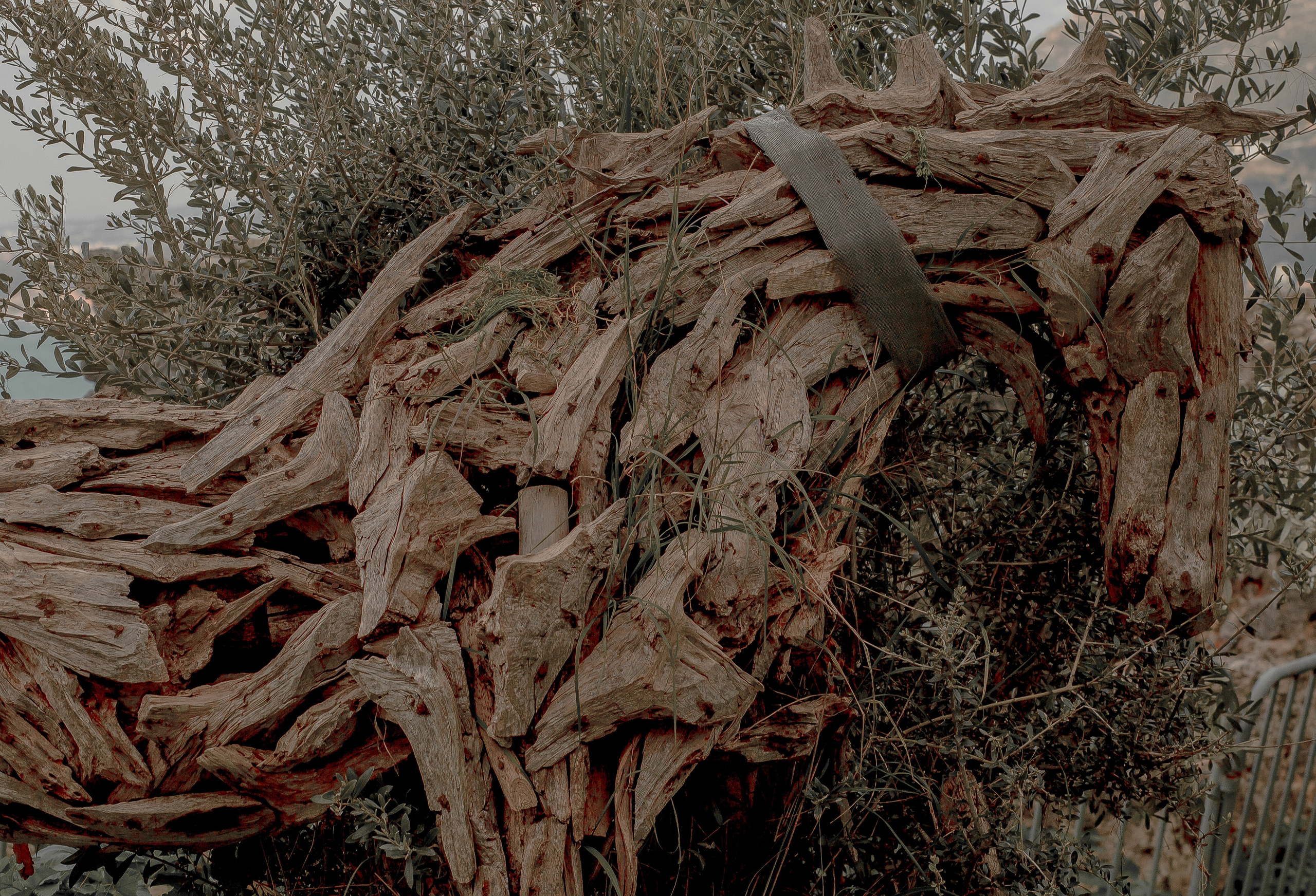 Turkey, Alanya. Art Photographer