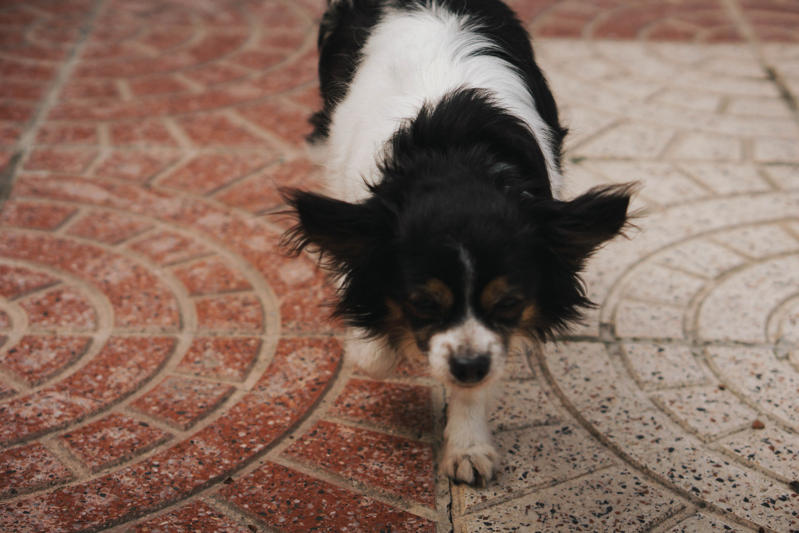 Rojales. Alba del Norte Studio