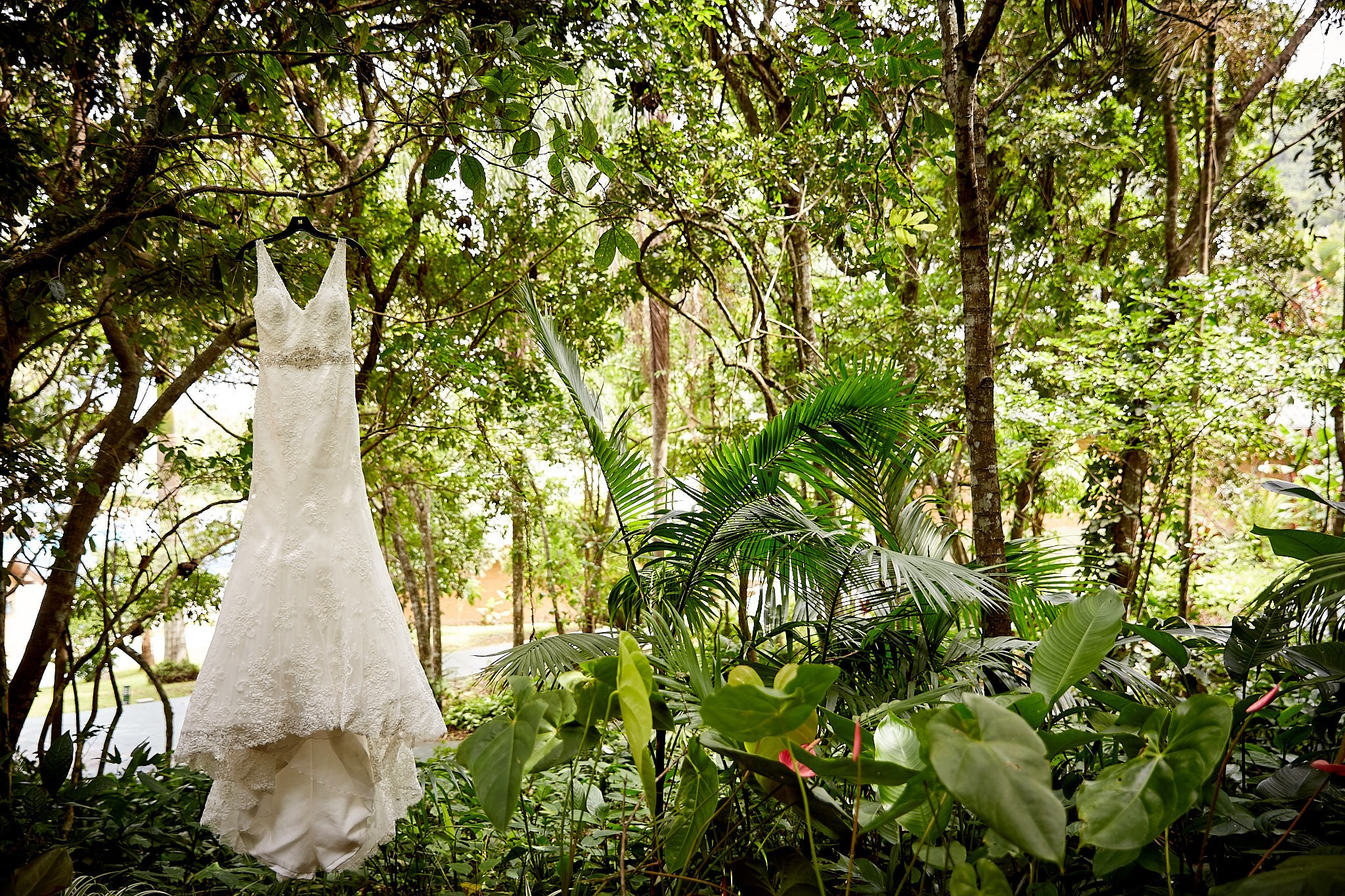 Casamento Juliana e Nick. Fotógrafo de casamentos em Florianópolis