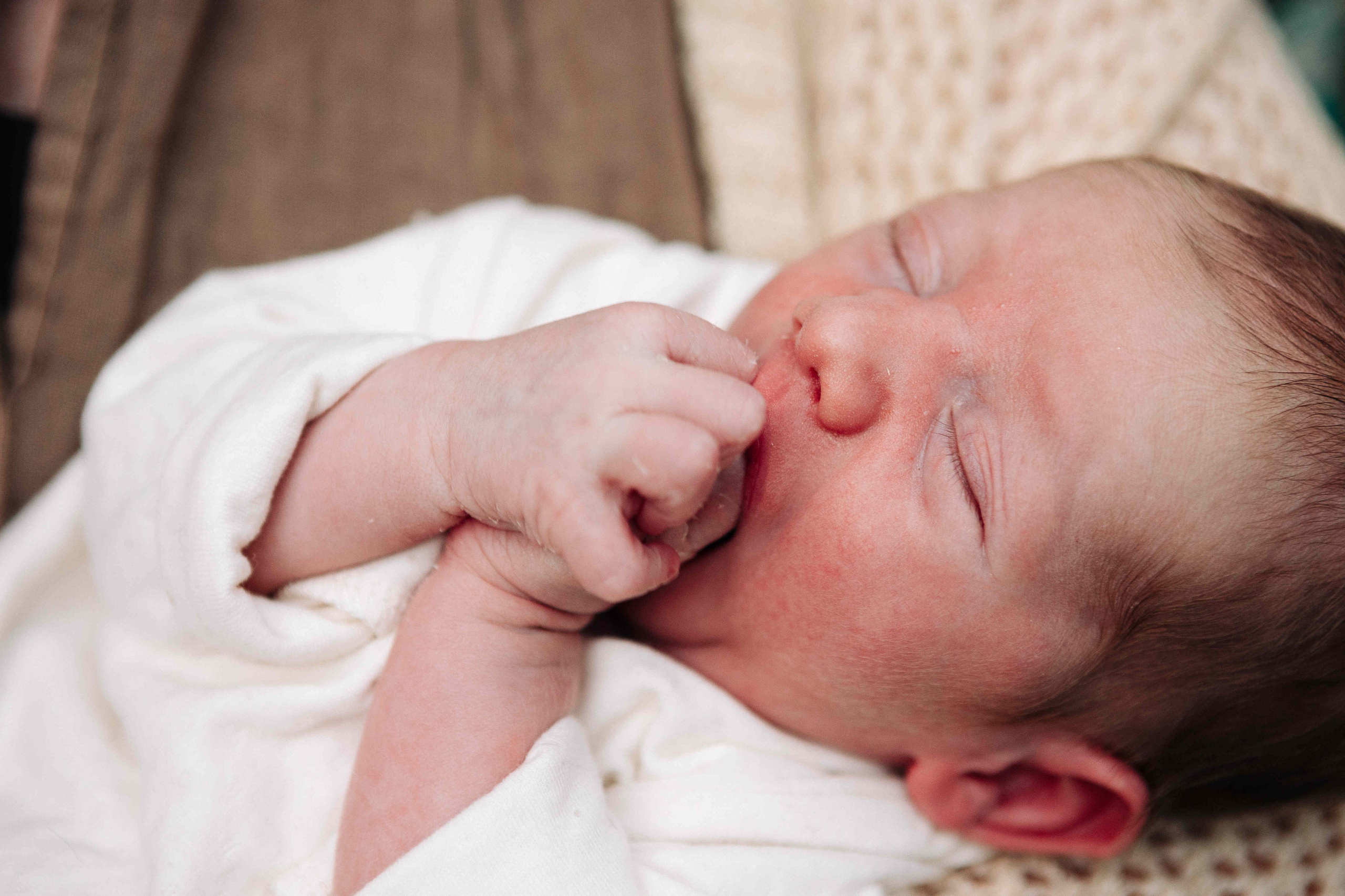 BRIT MILA IN NATURE IN JERUSALEM. Https://shi-photo.com/