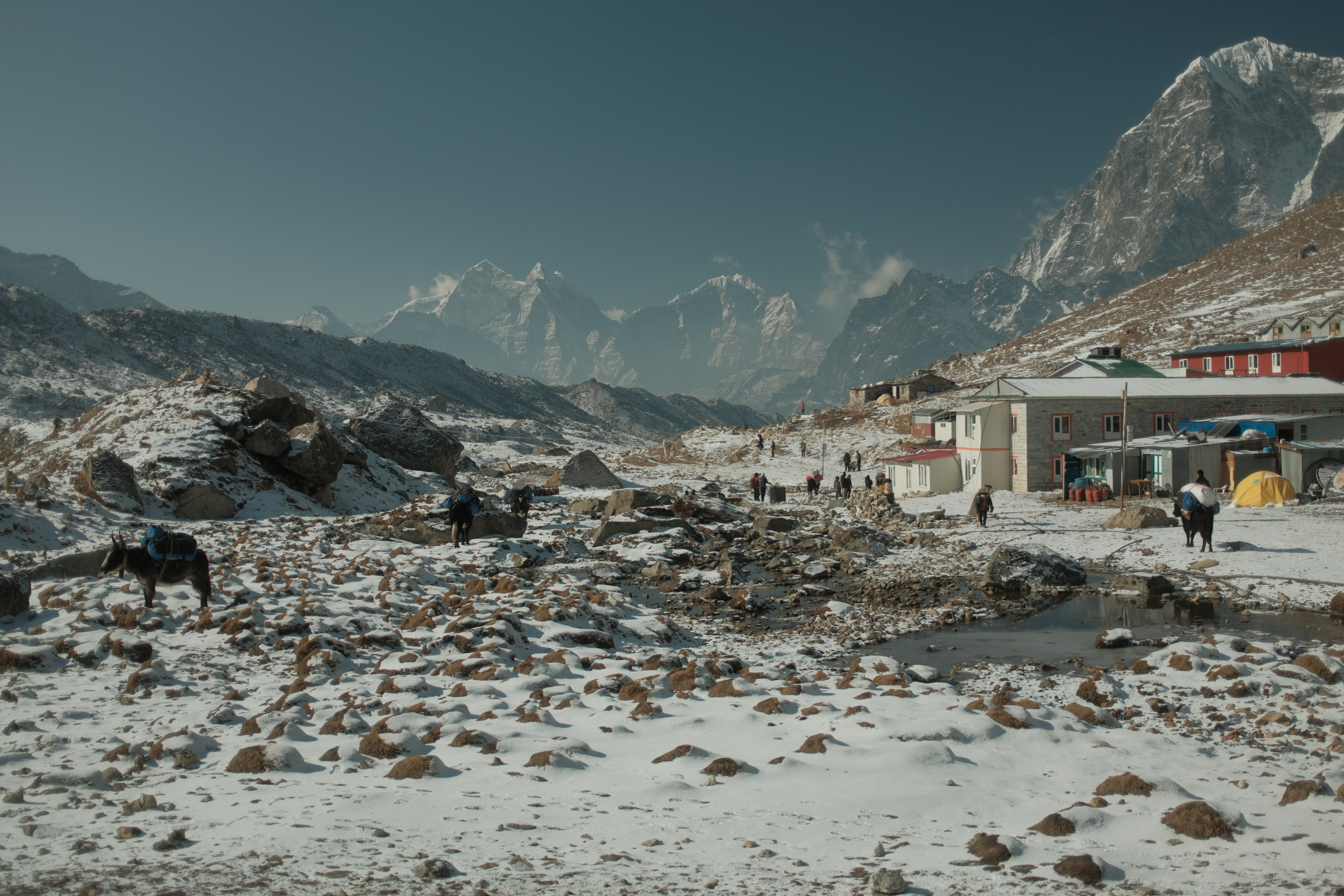Nepal. Patricia Morenci — Mountain Adventures for the Wild at Heart