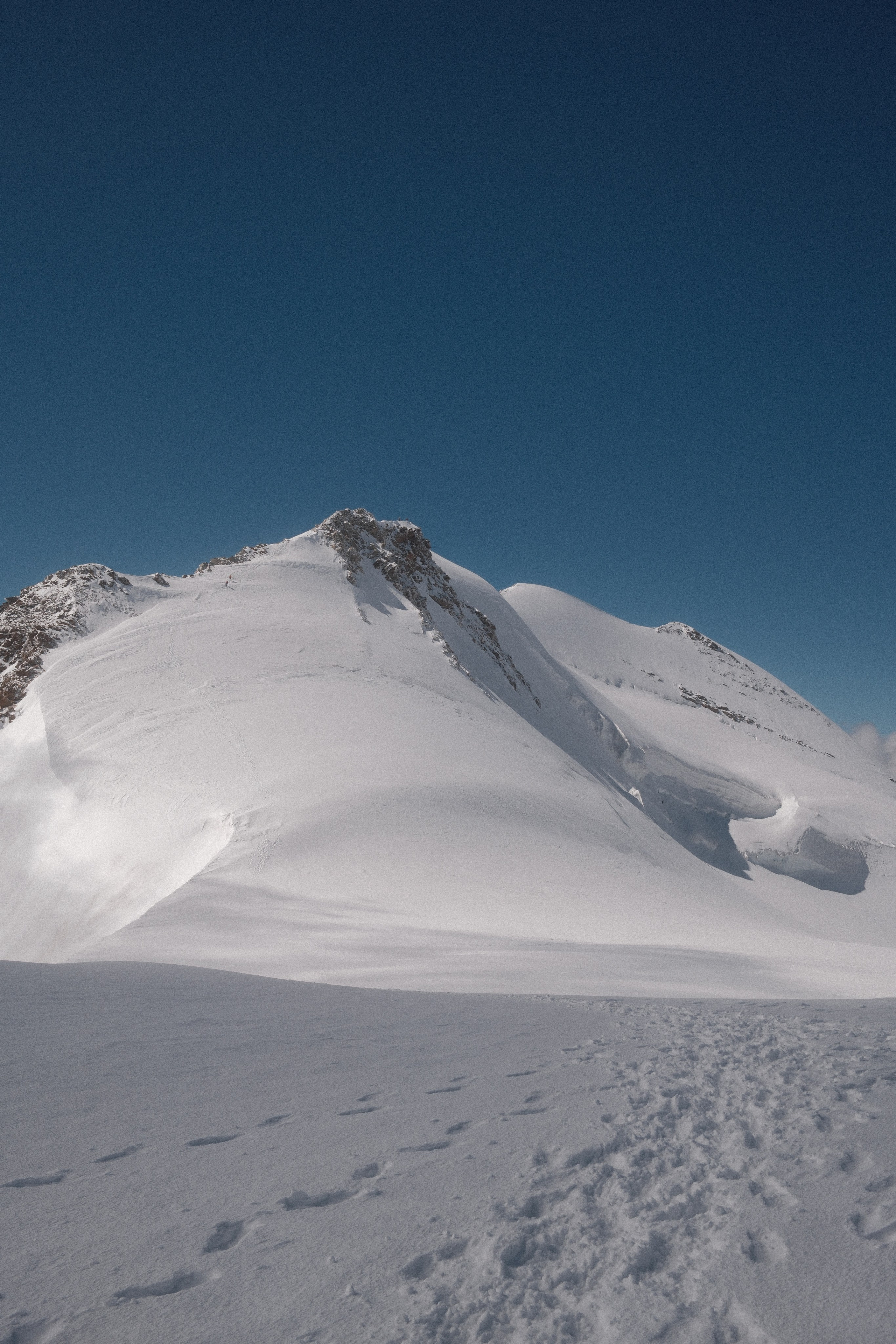 Castor. Patricia Morenci — Mountain Adventures for the Wild at Heart