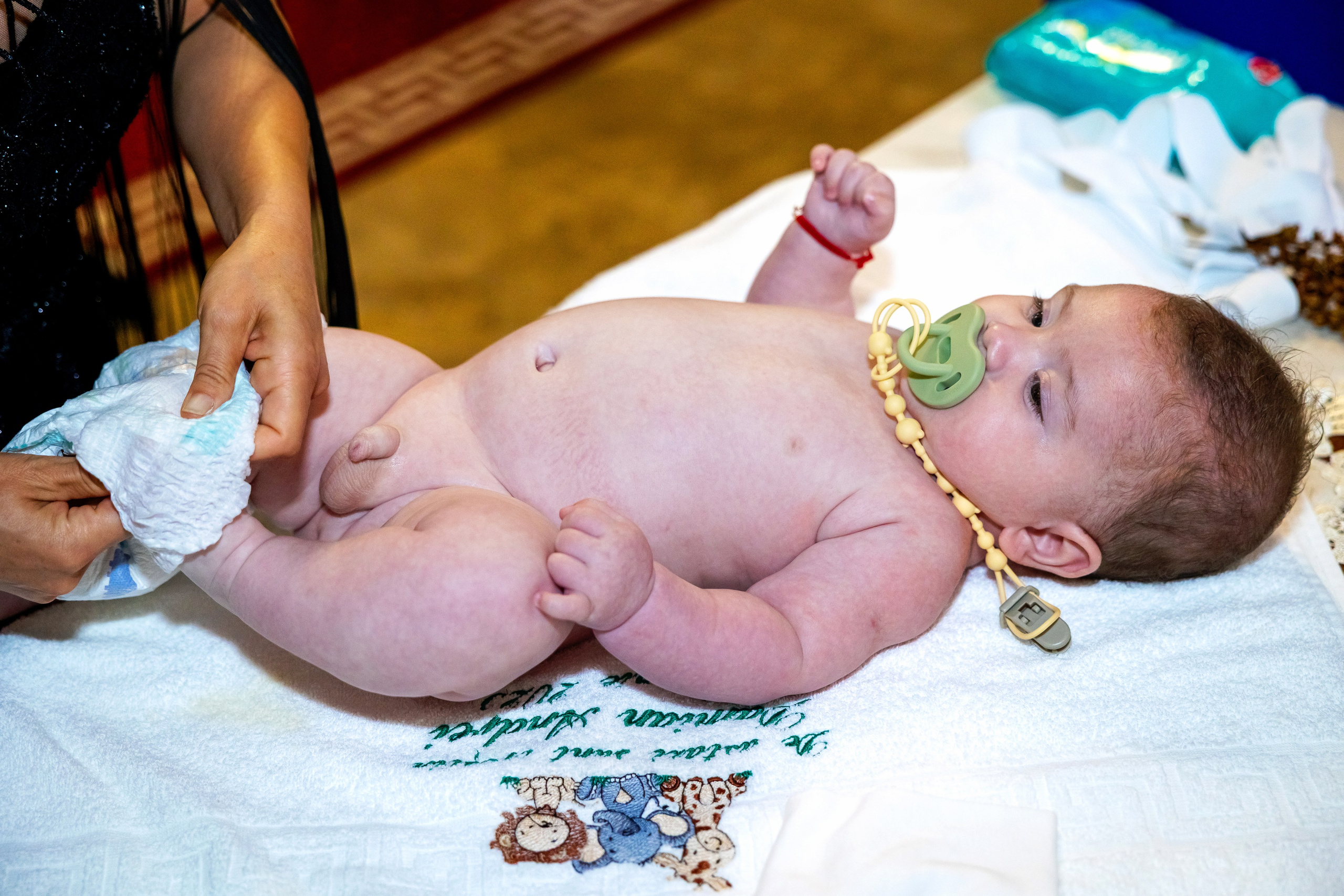 Andrei Damian. Moments By Gub