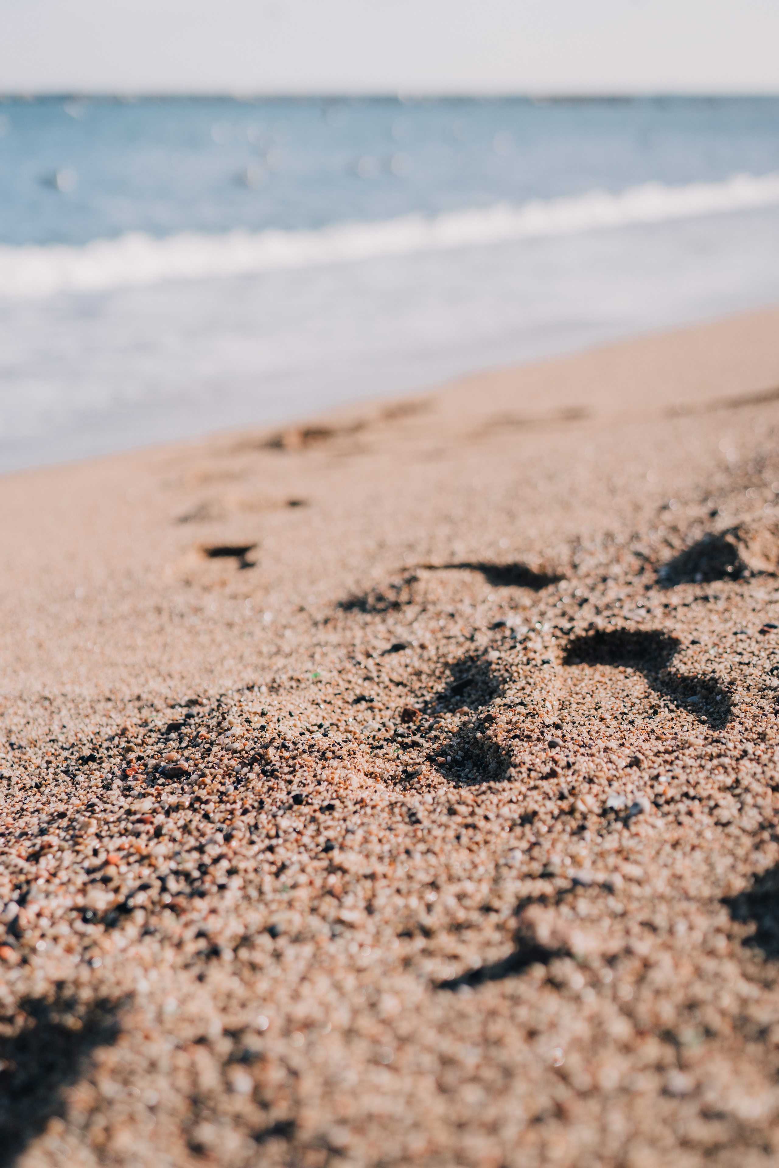 Elena (profile photos for social media). Photographer Kristina Dorina