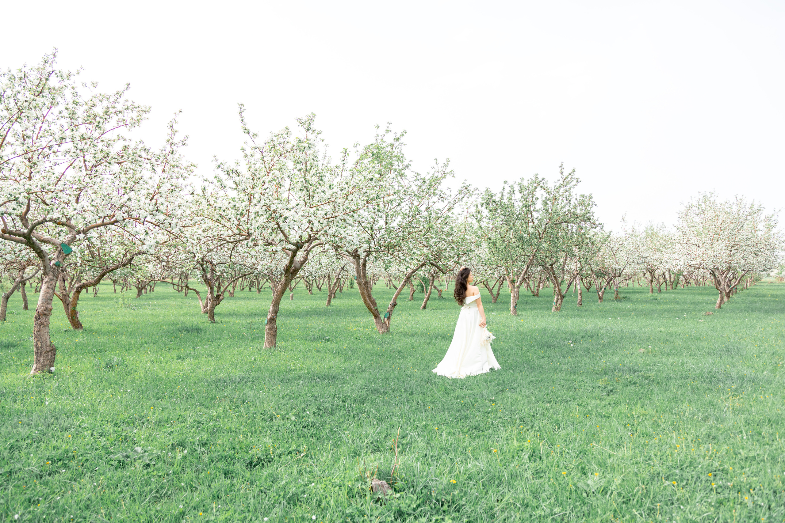 Bride Victoria. Свадебный фотограф в Бишкеке