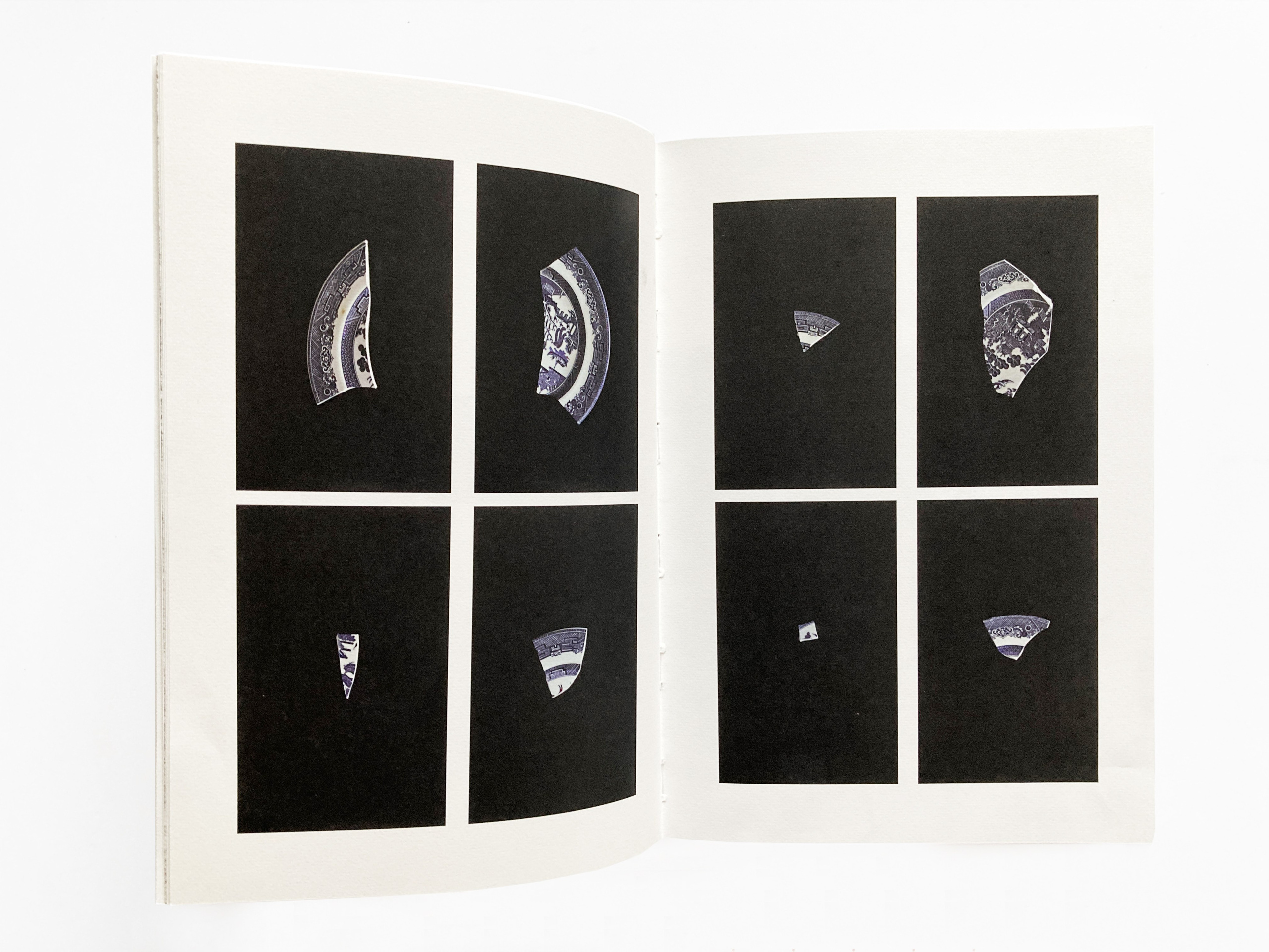 Муха в янтаре. Sveta Kaverina