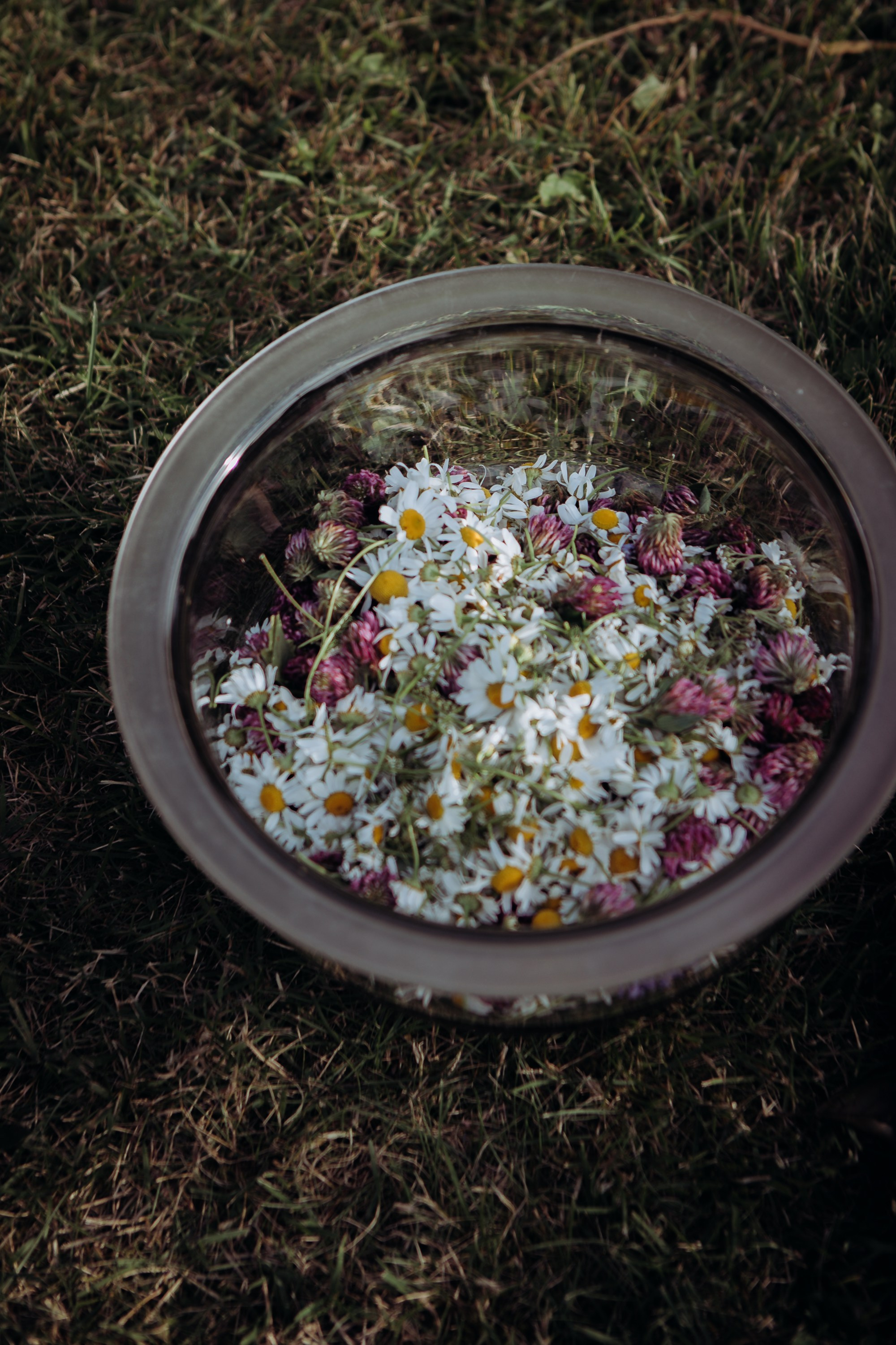 Wedding ceremony Agnese &Aleksandrs. Sandra Garanca Portrait and event photographer