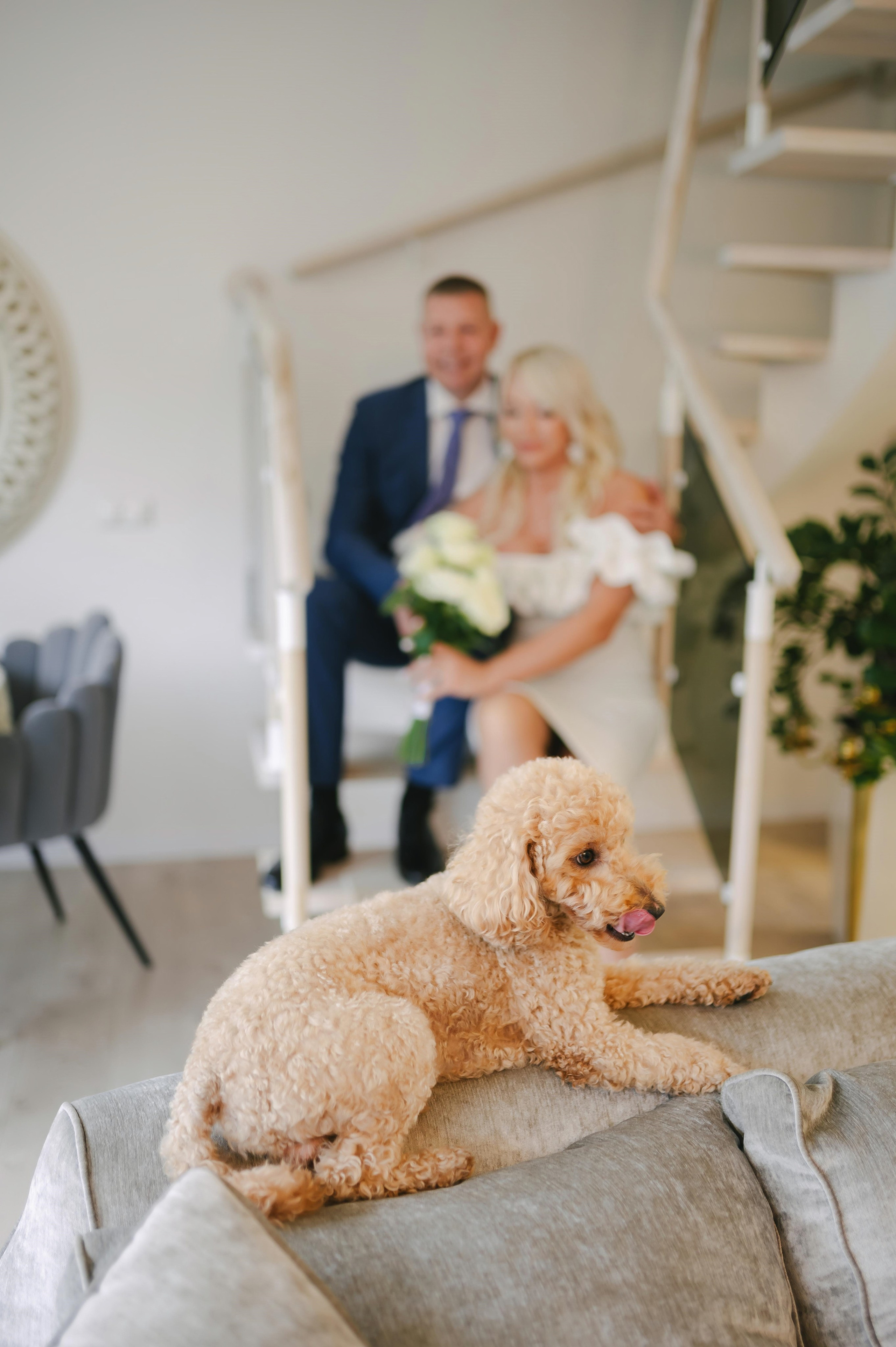 Linos vestuvės. Rokas Baranauskas fotografija