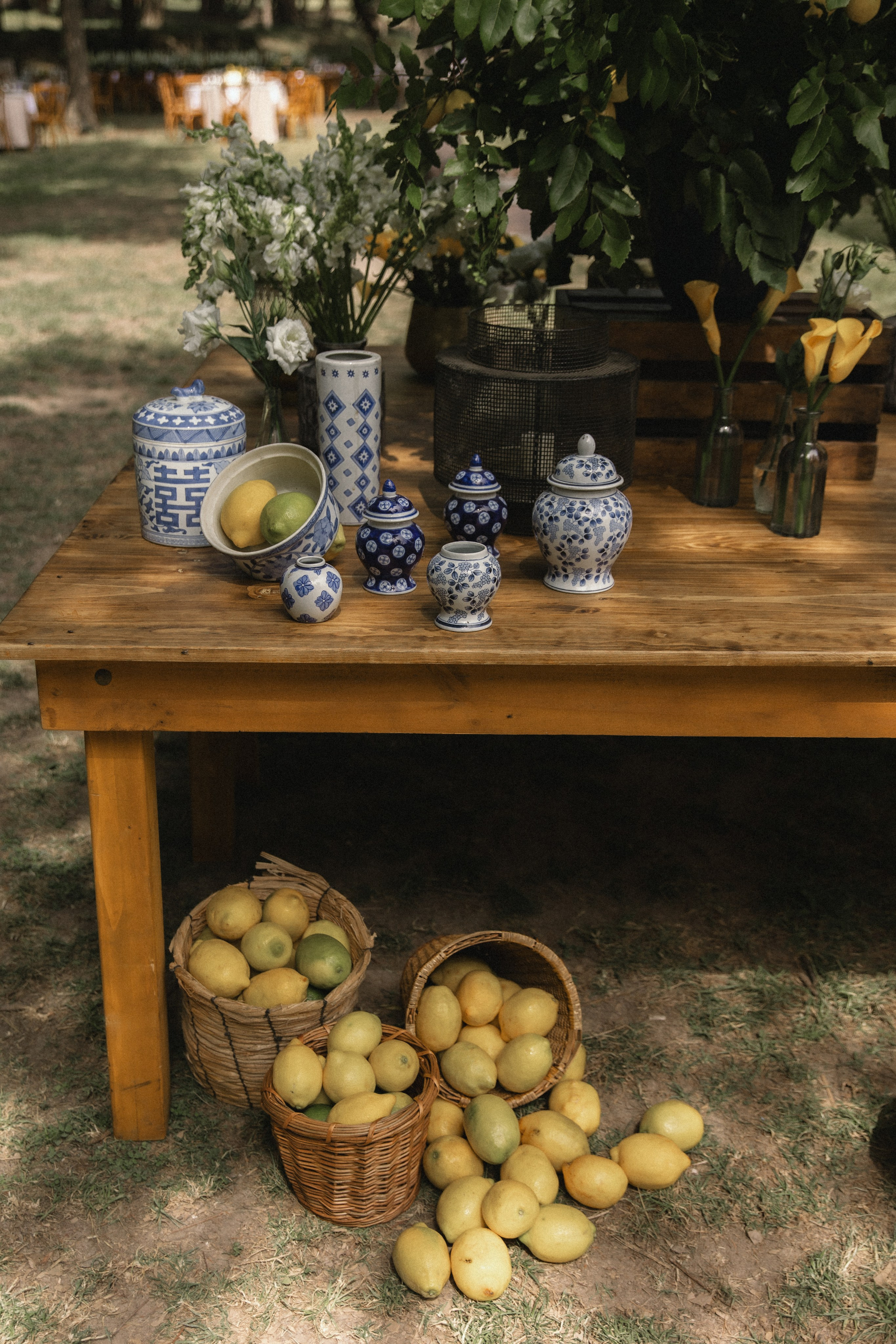 María José & Nikolas. Fotógrafa familiar Santiago y Chile Anna Almazova