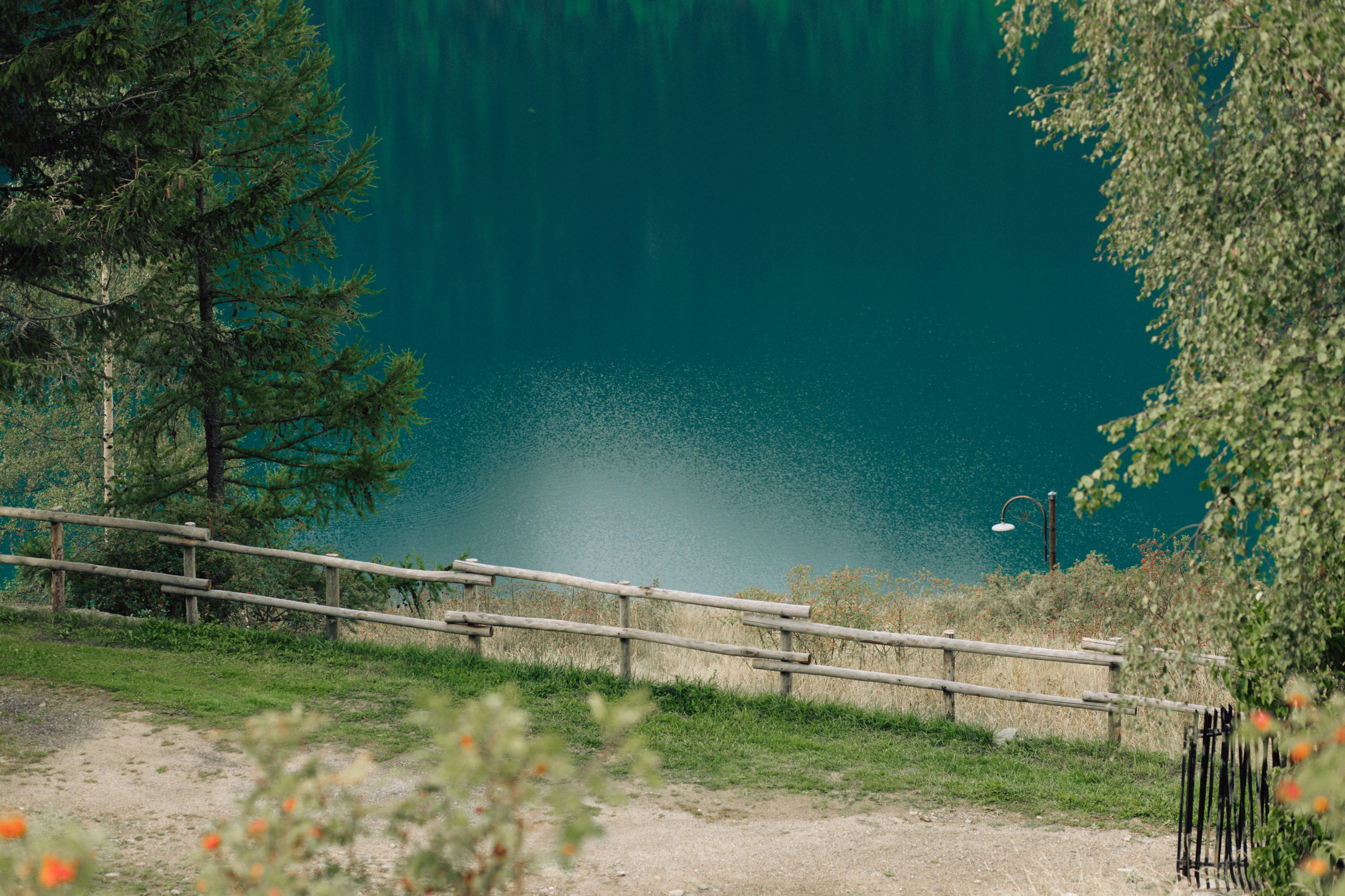 Anastasiya & Emanuele | Italian Alps. Liza Bizzaro — Italy Wedding, Love Story & Portrait Photographer in Milan, Turin, Piedmont and Across Italy