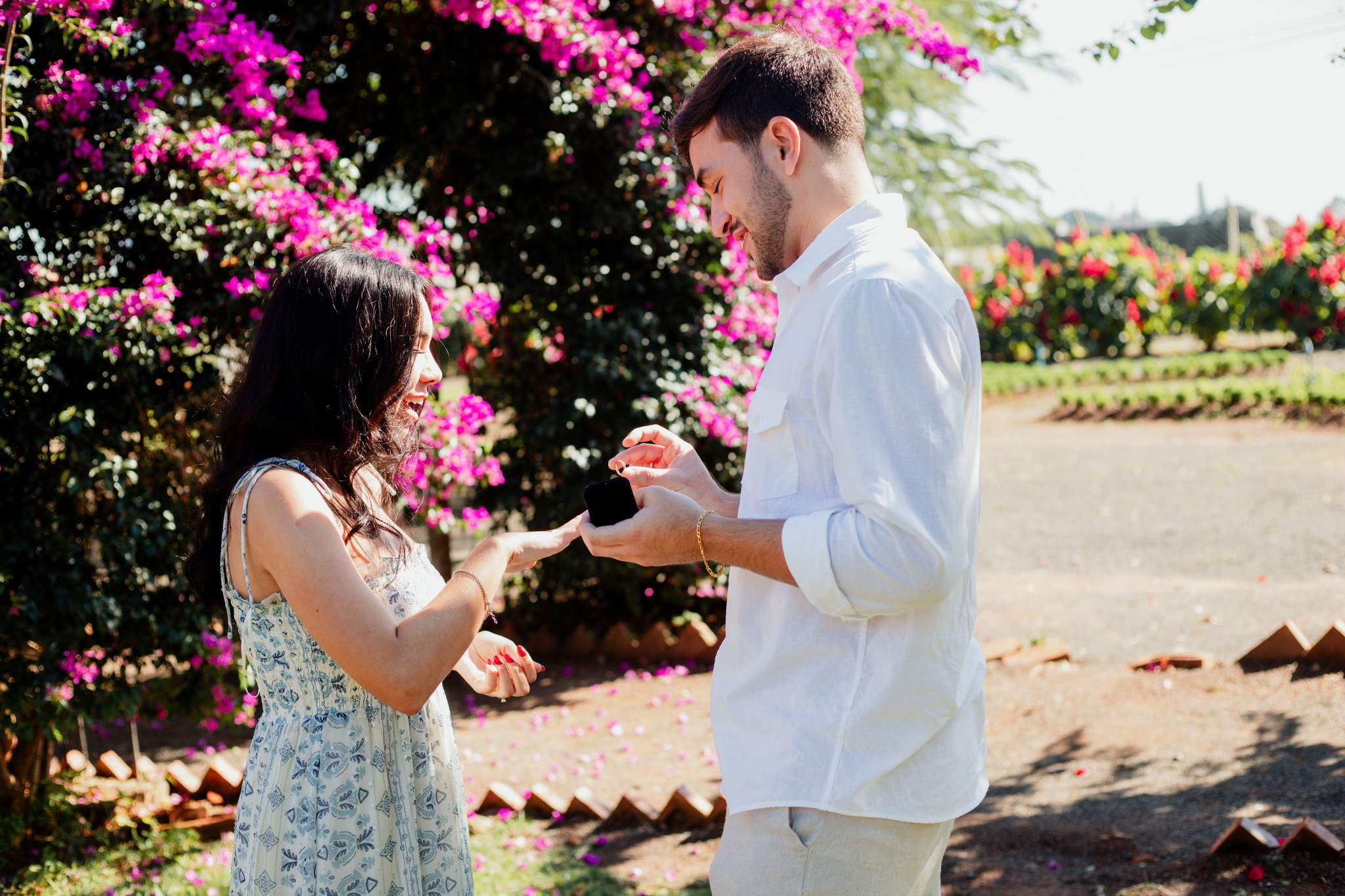 Pedido de casamento /Emilly e Yan. Joyce Maria Fotografia | Fotógrafa em Holambra