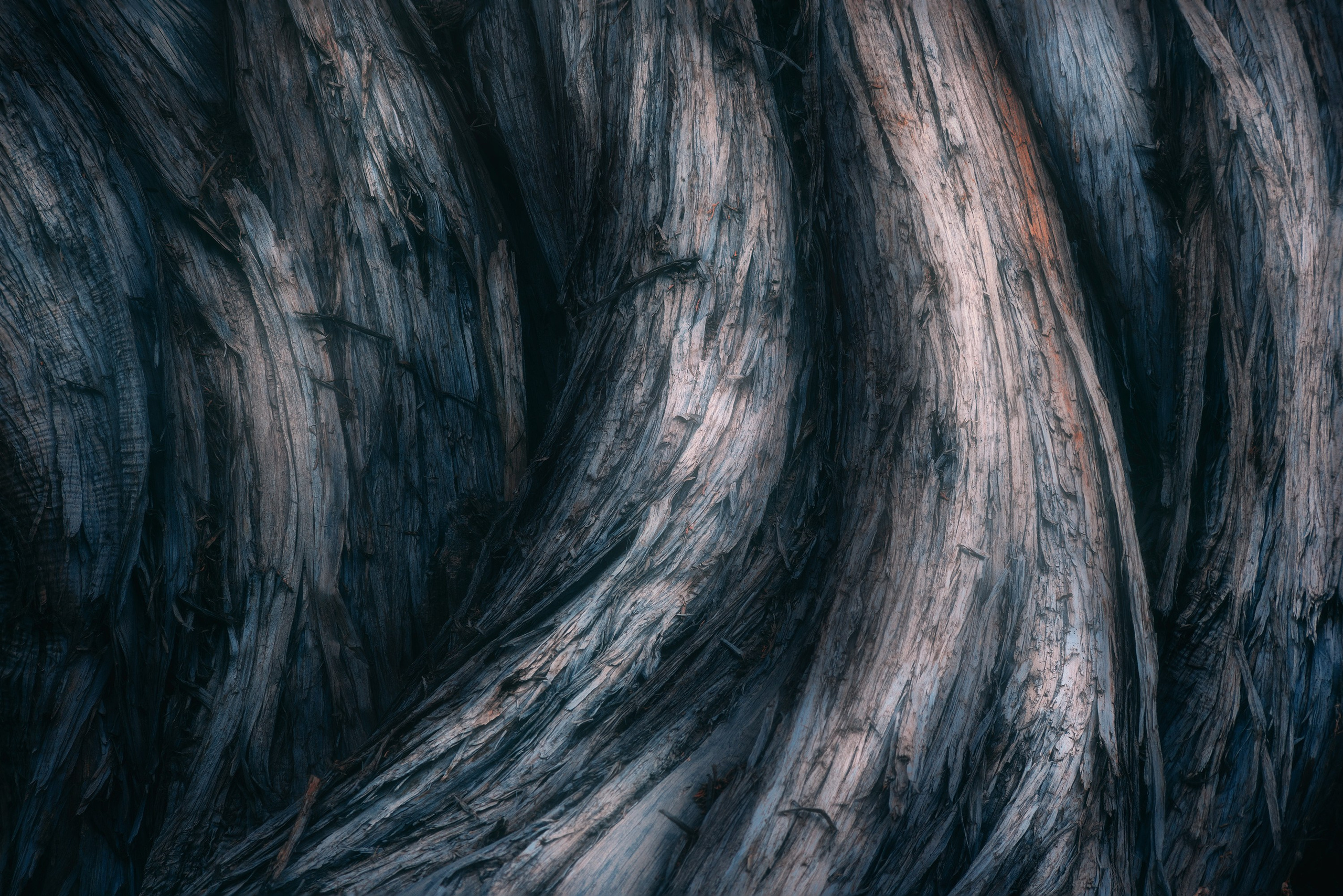 Abstract. Amirhamzeh Mashayekhi Photographer