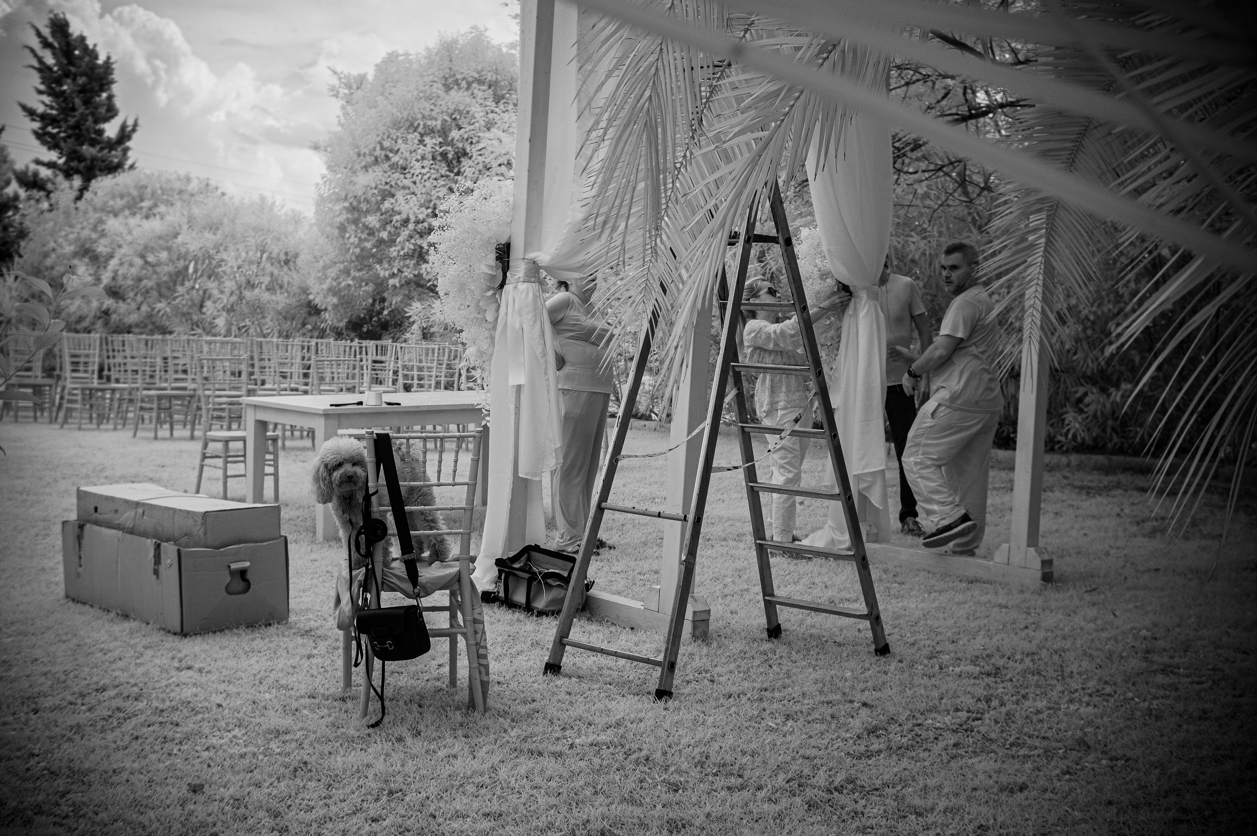 Infrarossi. Fotografia e video