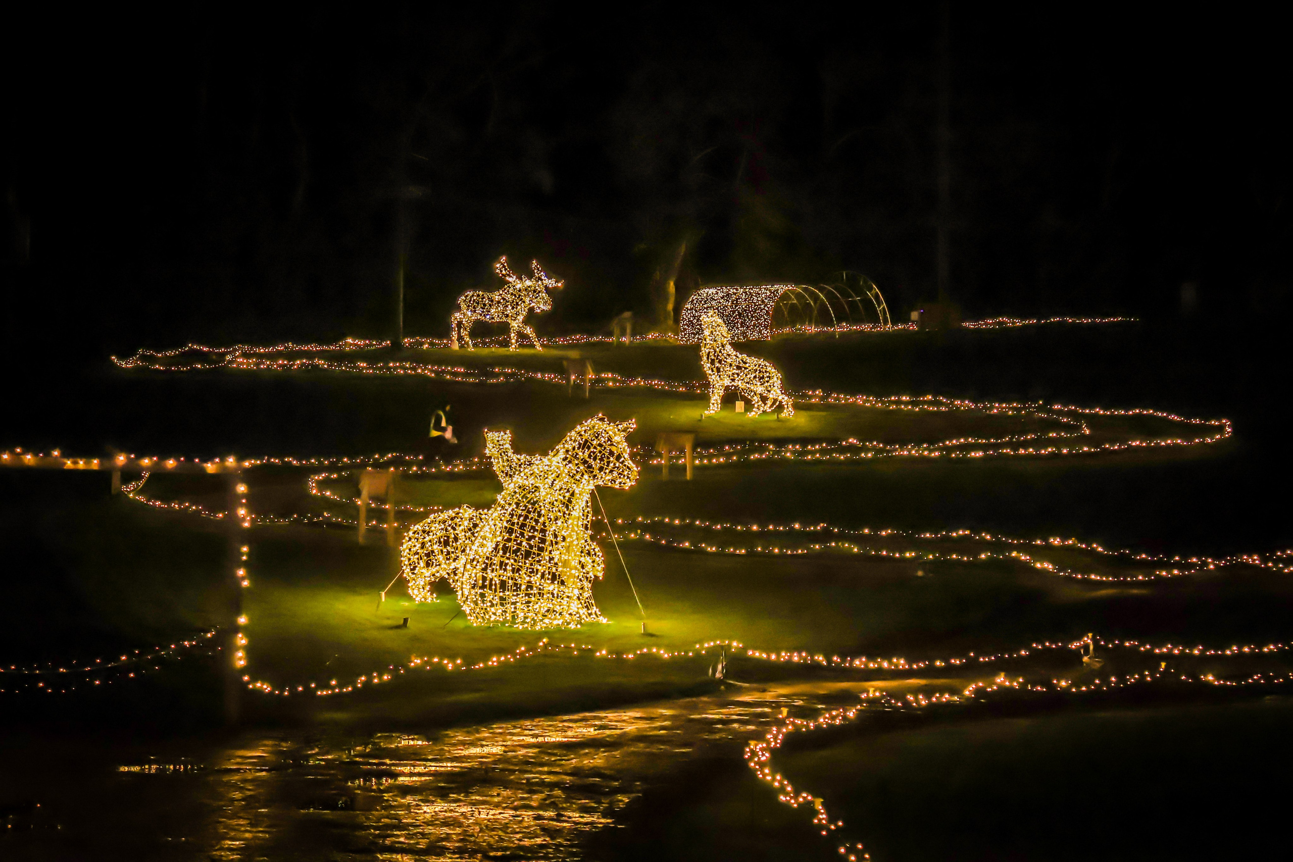 Adventure Lights at SkyPark. Create with Twila