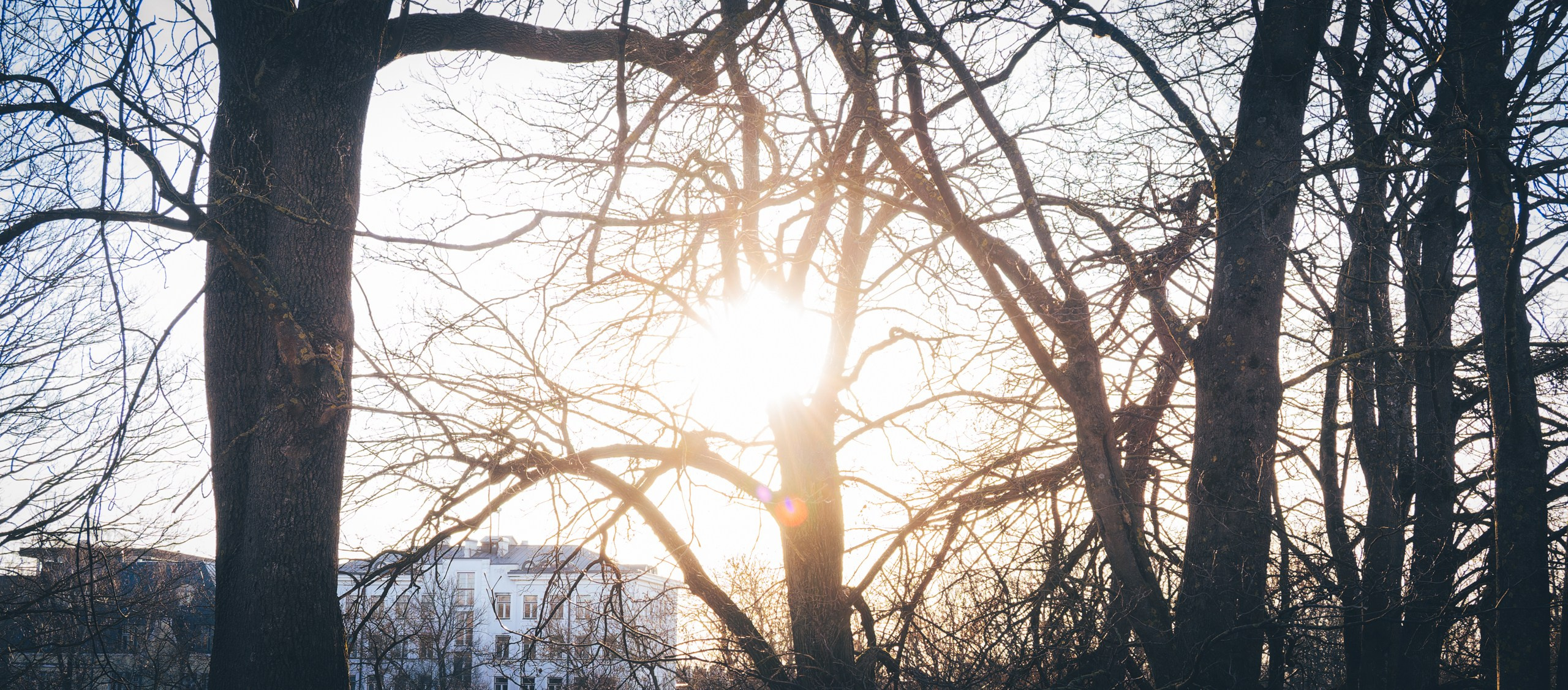 Nebula 25 — Фотографии для вашей души