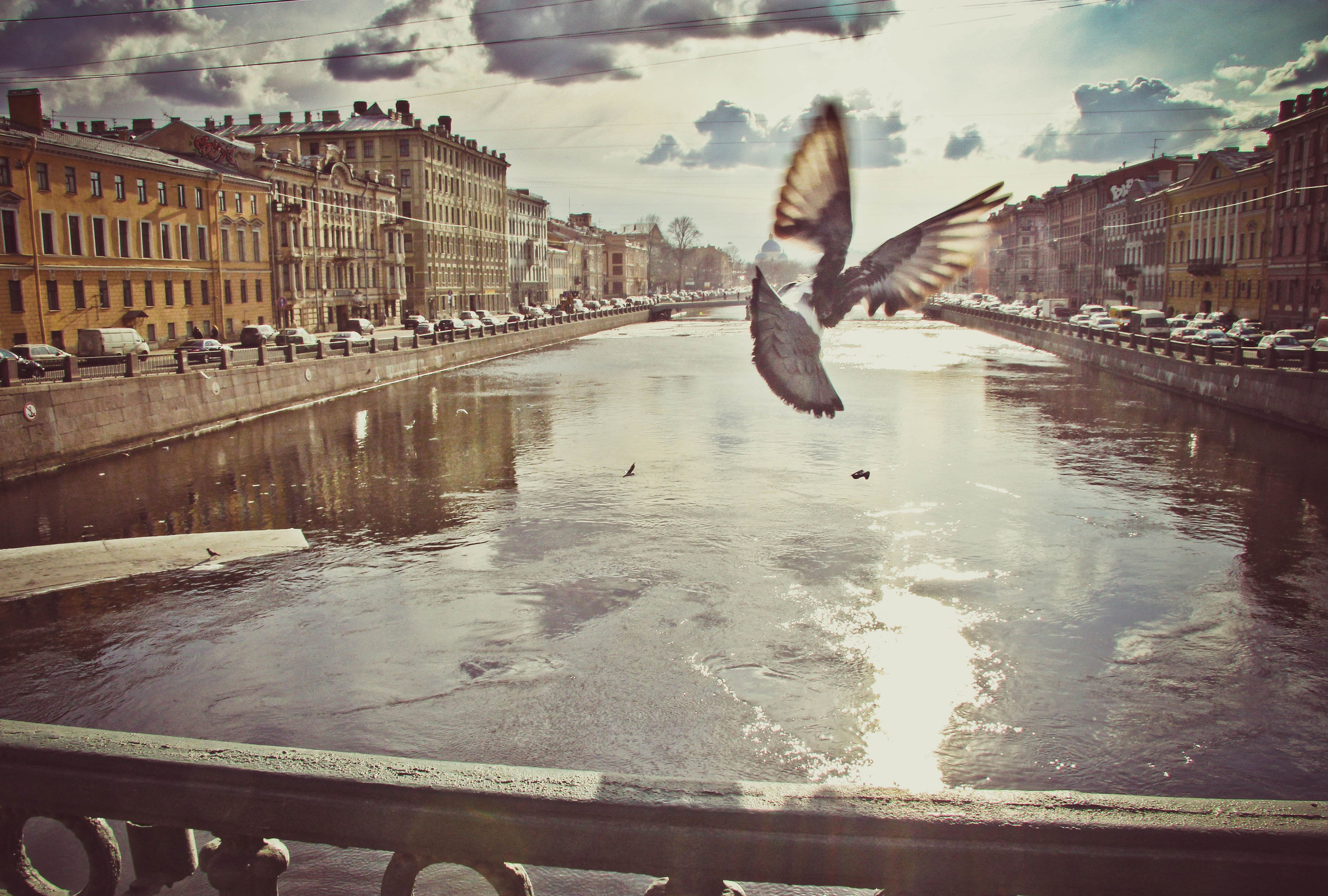 2012. Стрит-фотография, полная абсурда, идиотизма и красоты