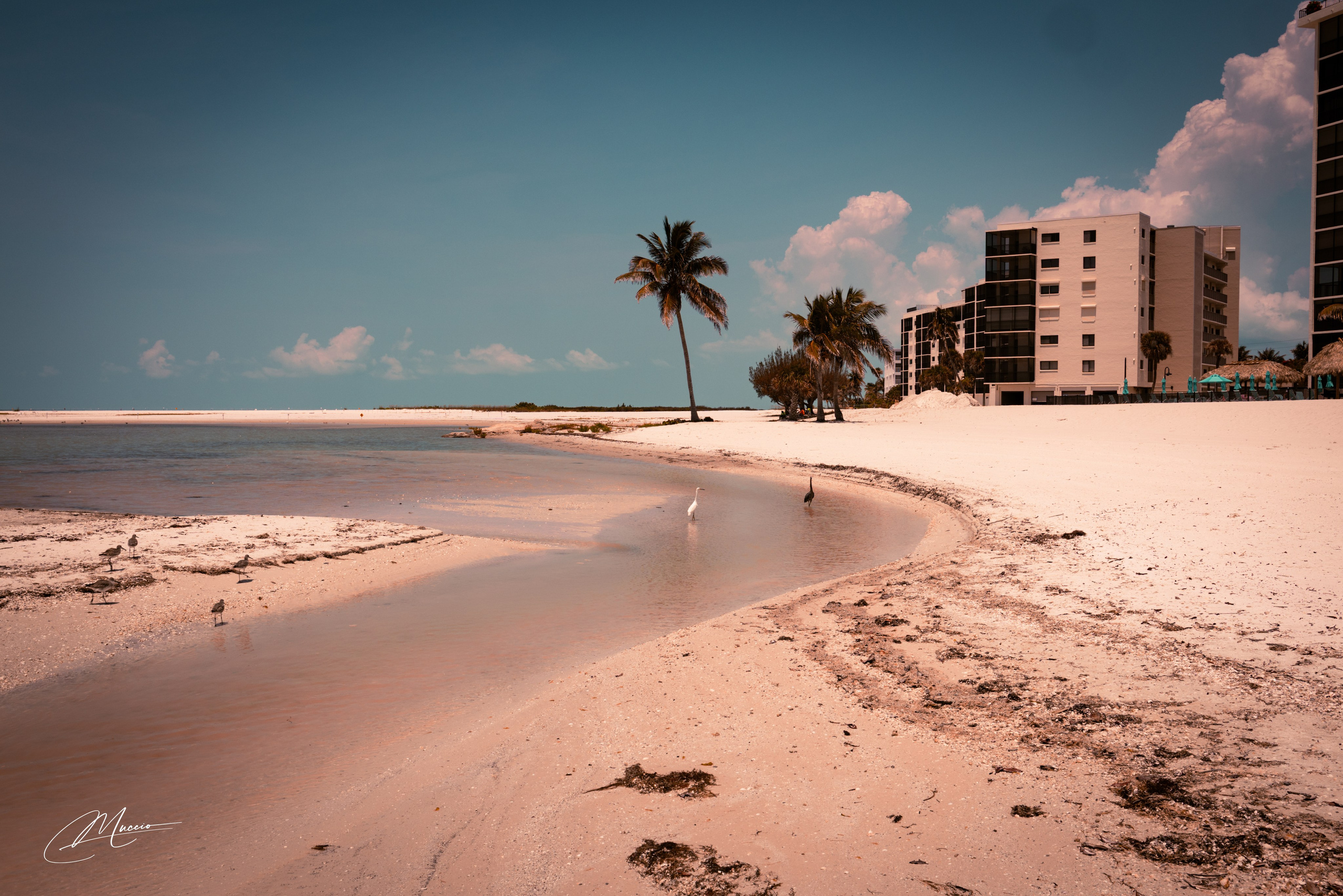 Florida Man — Fort Myers Walkabout. Out and About 239