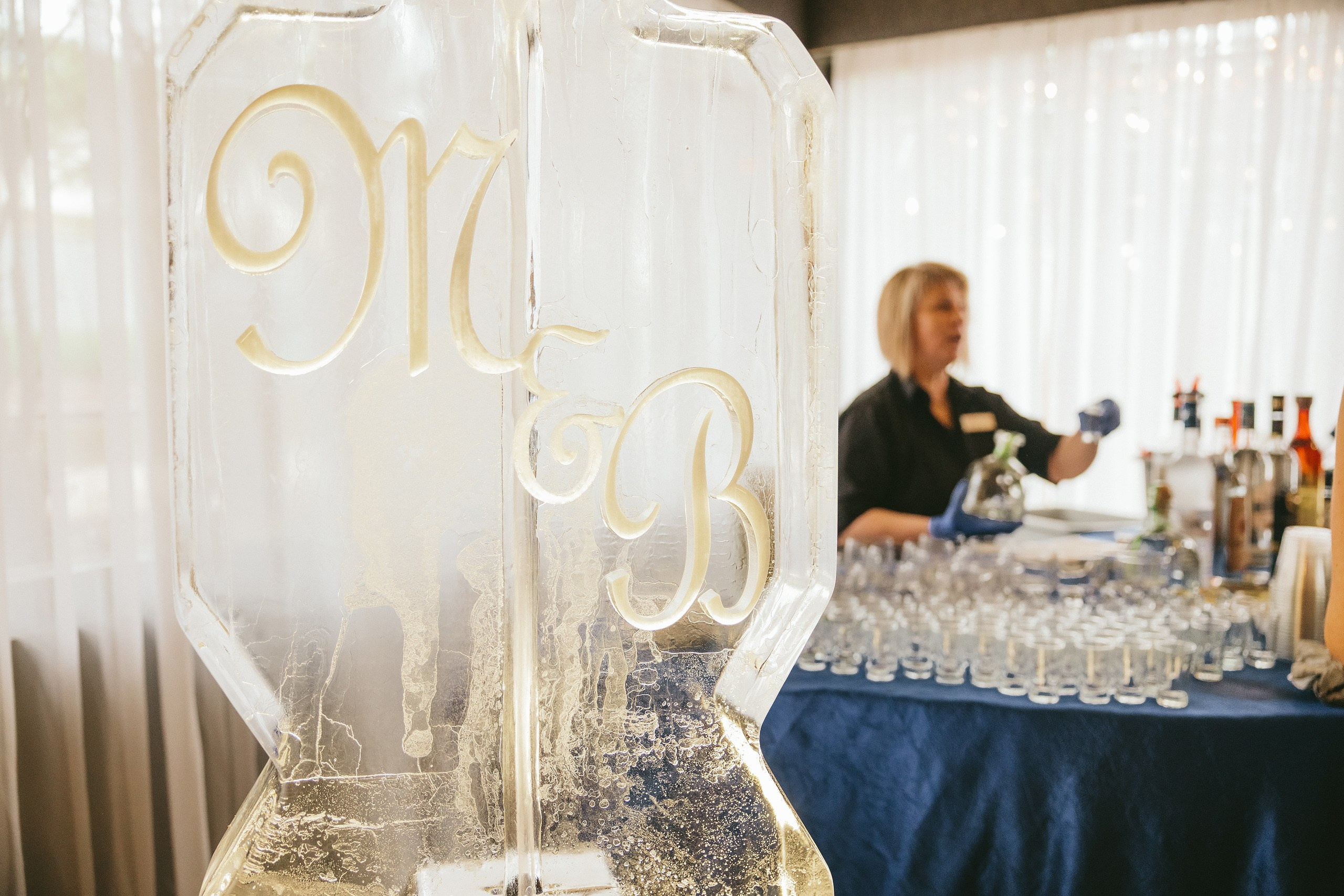 06.08.2025 Wedding. Wedding family event photographer in Chicago Nick Yushevich