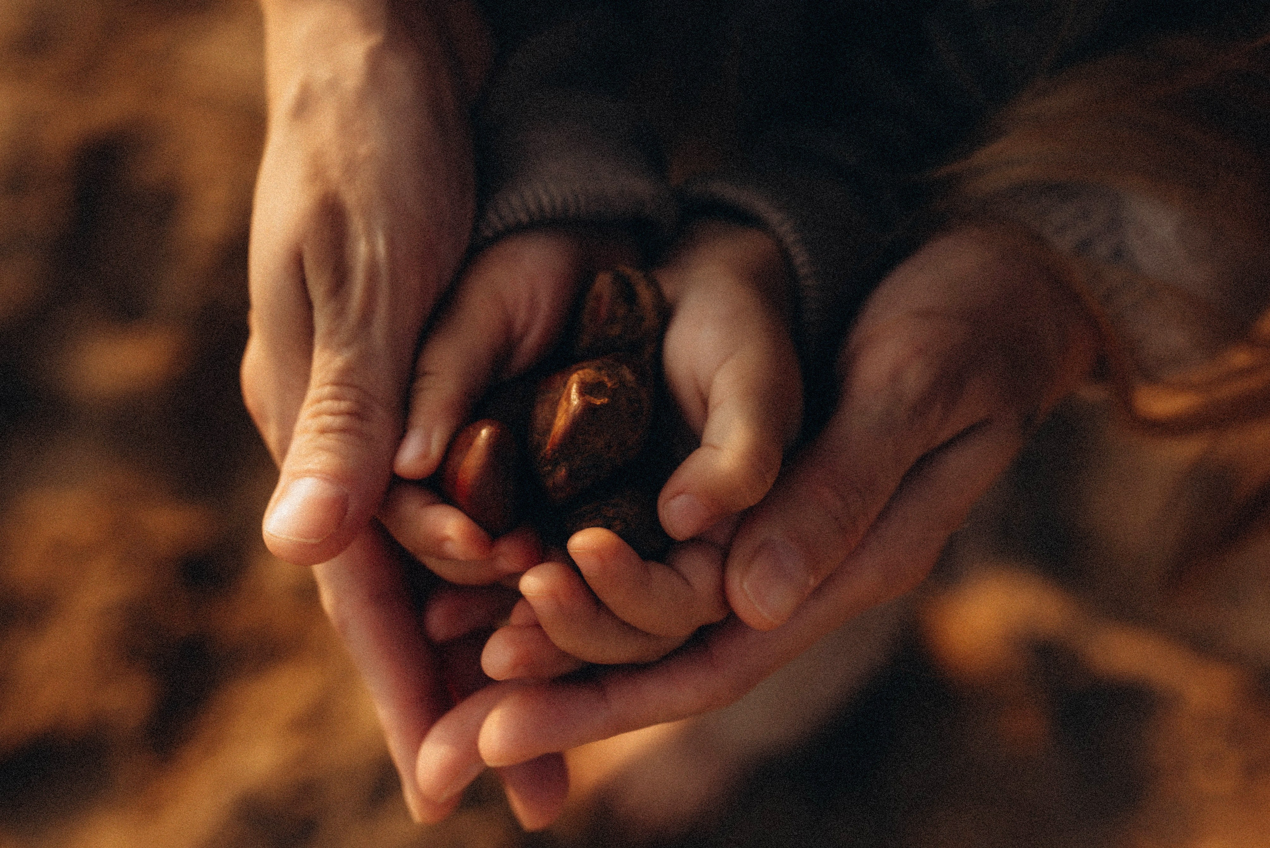 Family Story. Семейный фотограф Лейпциг, Германия