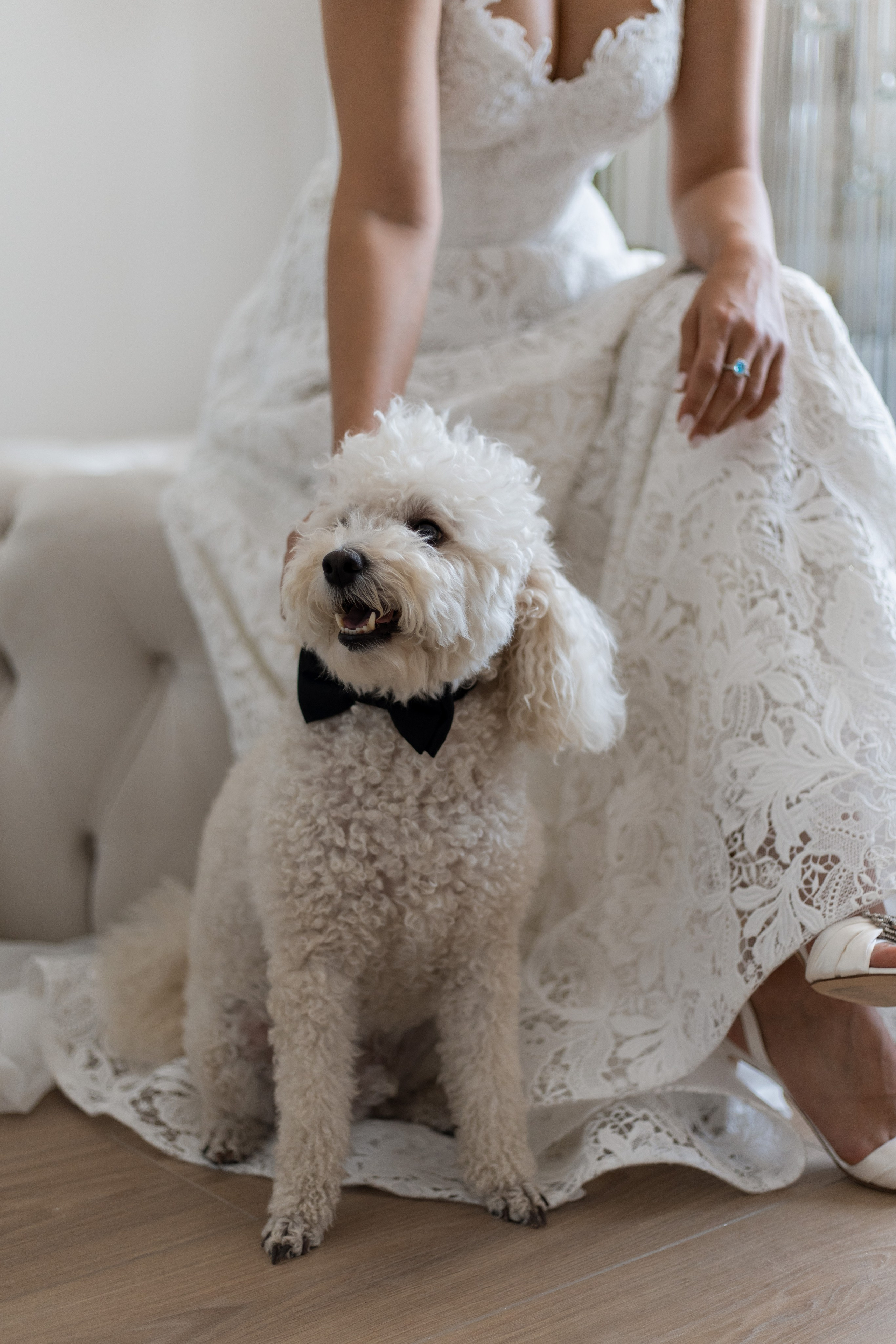 Grig and Narina Wedding. Recnac | Wedding Photographer Yerevan