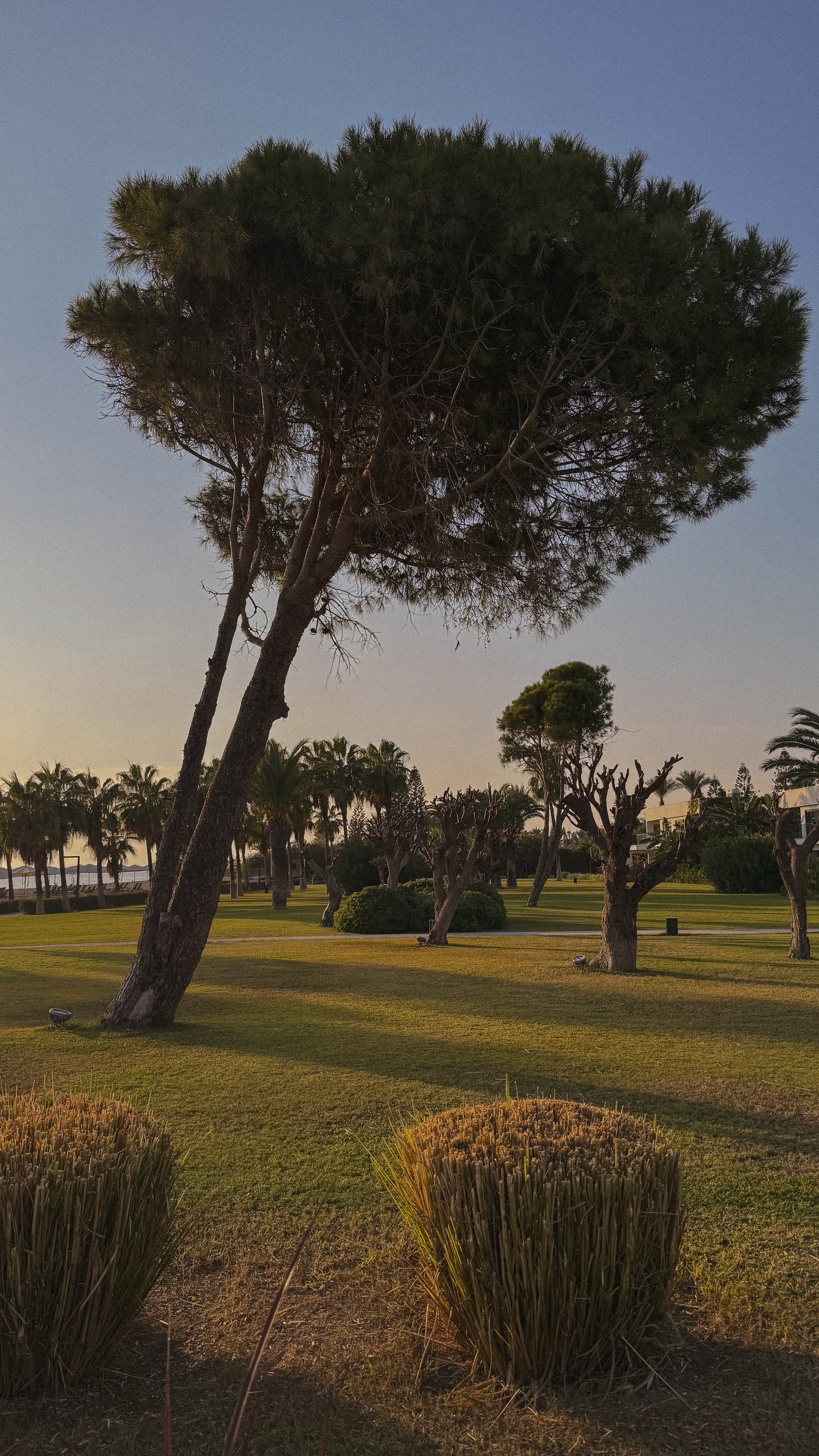 Paloma Finesse. Professional photographer and videographer specializing in filming hot