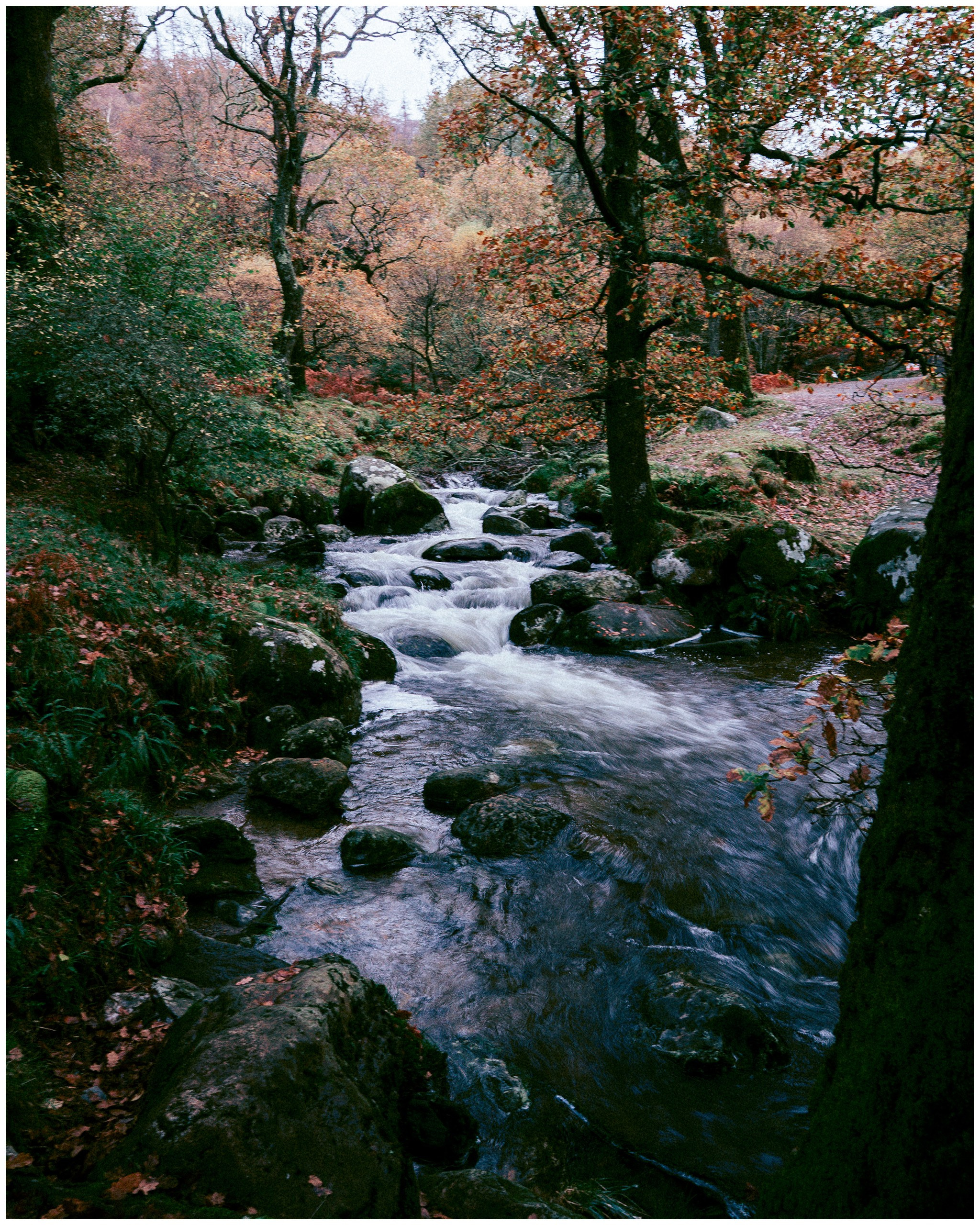 IRELAND. Inna Mendelson — Photographer