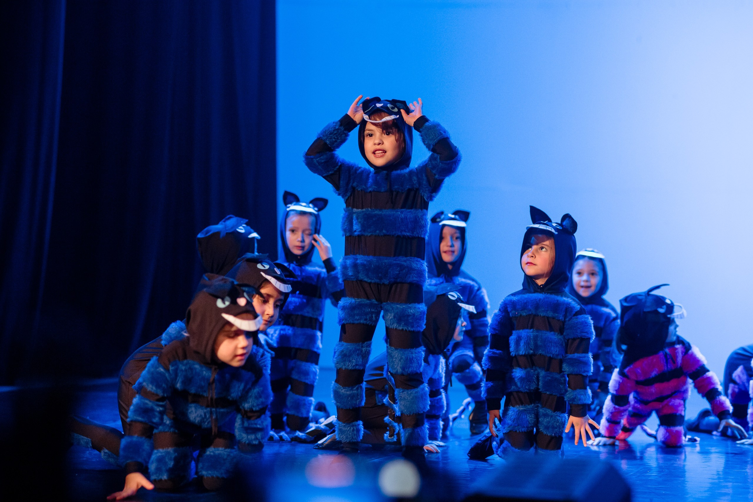 Espetáculo Teatral Alice no País das Maravilhas — Recriarte