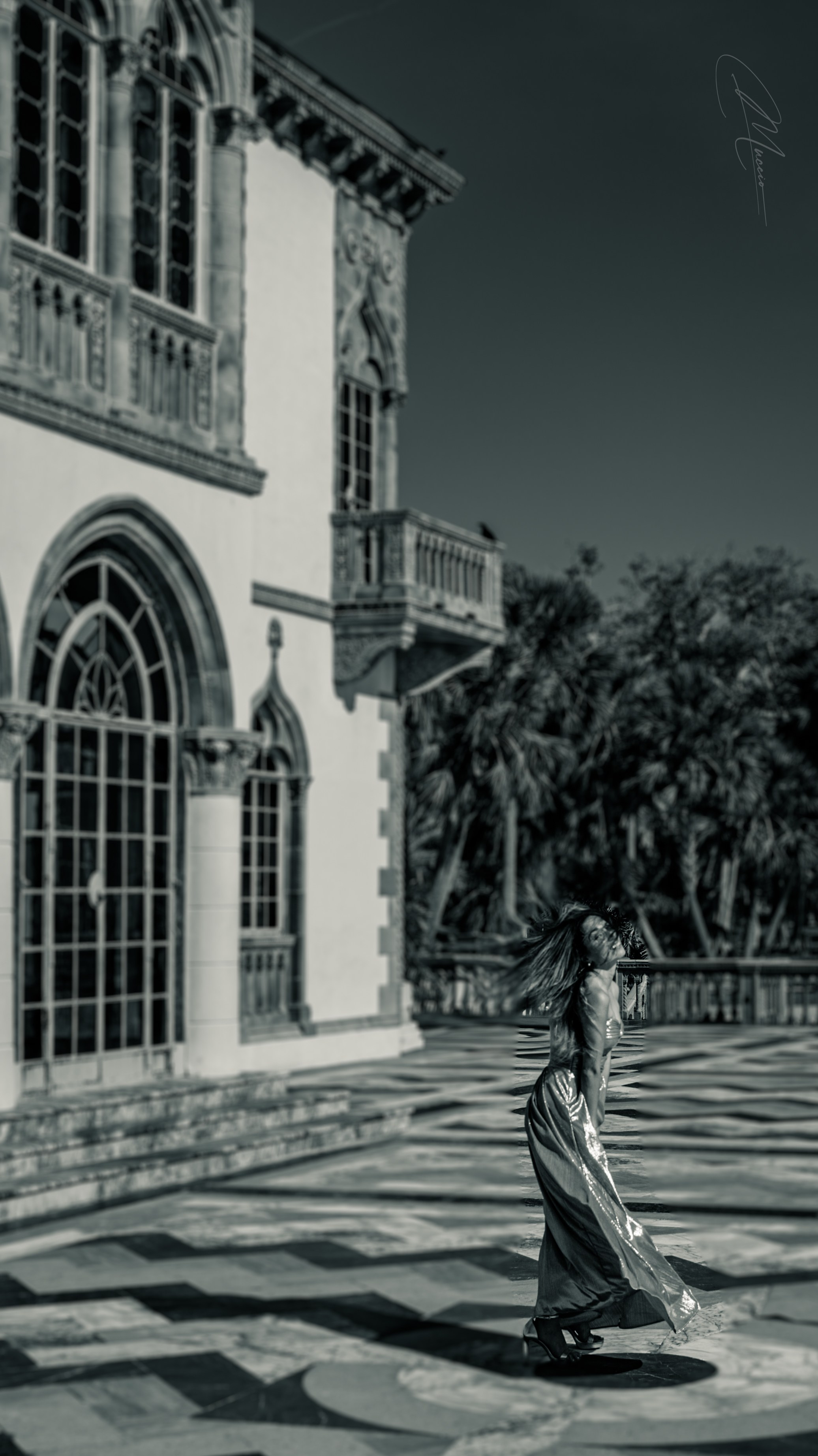 Black and White. Out and About 239